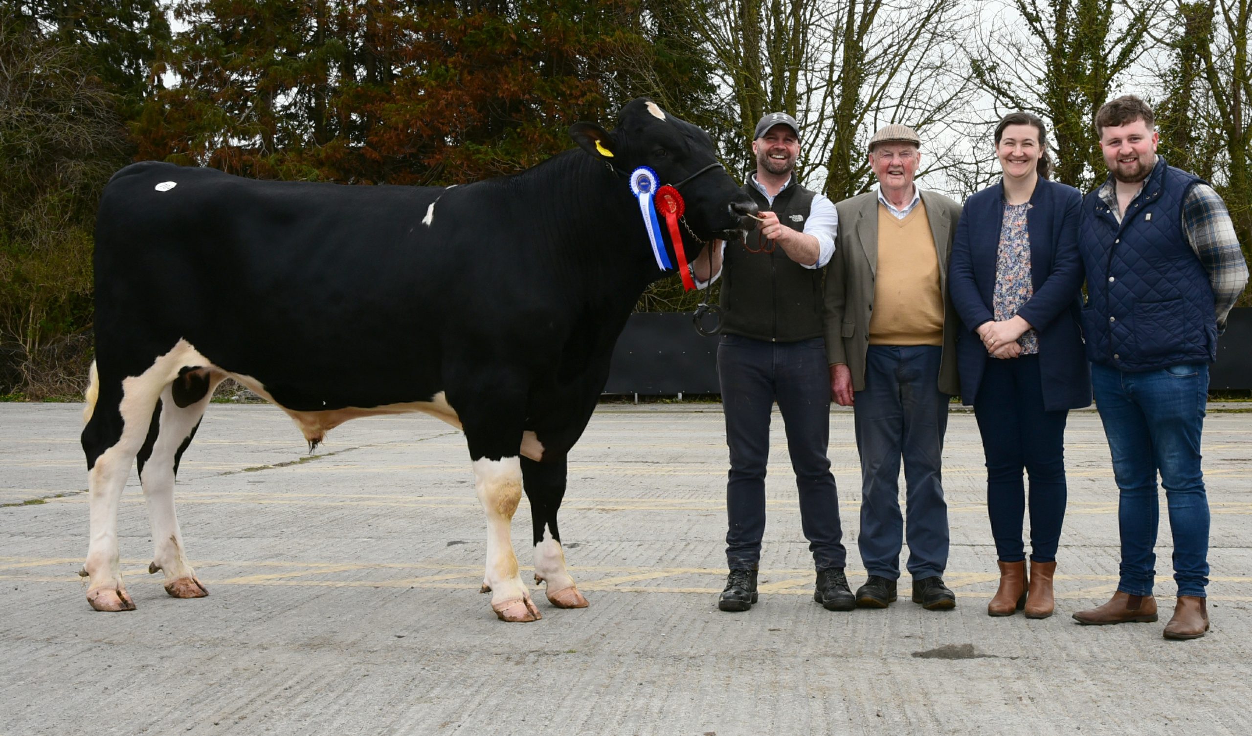 Reserve champion, Mountfarna Frankie bred by John O’ Callaghan, Mountfarna, Co. Cork was Reserve Champion at the IHFA Premier Bull Show &amp; Sale at Kilmallock mart, Co. Limerick on Wednesday, March 26.&nbsp;&nbsp;Pictured with the bull are John and Timmy O’ Callaghan, Avril Taylor, IHFA chairperson, Jack Walsh (judge)