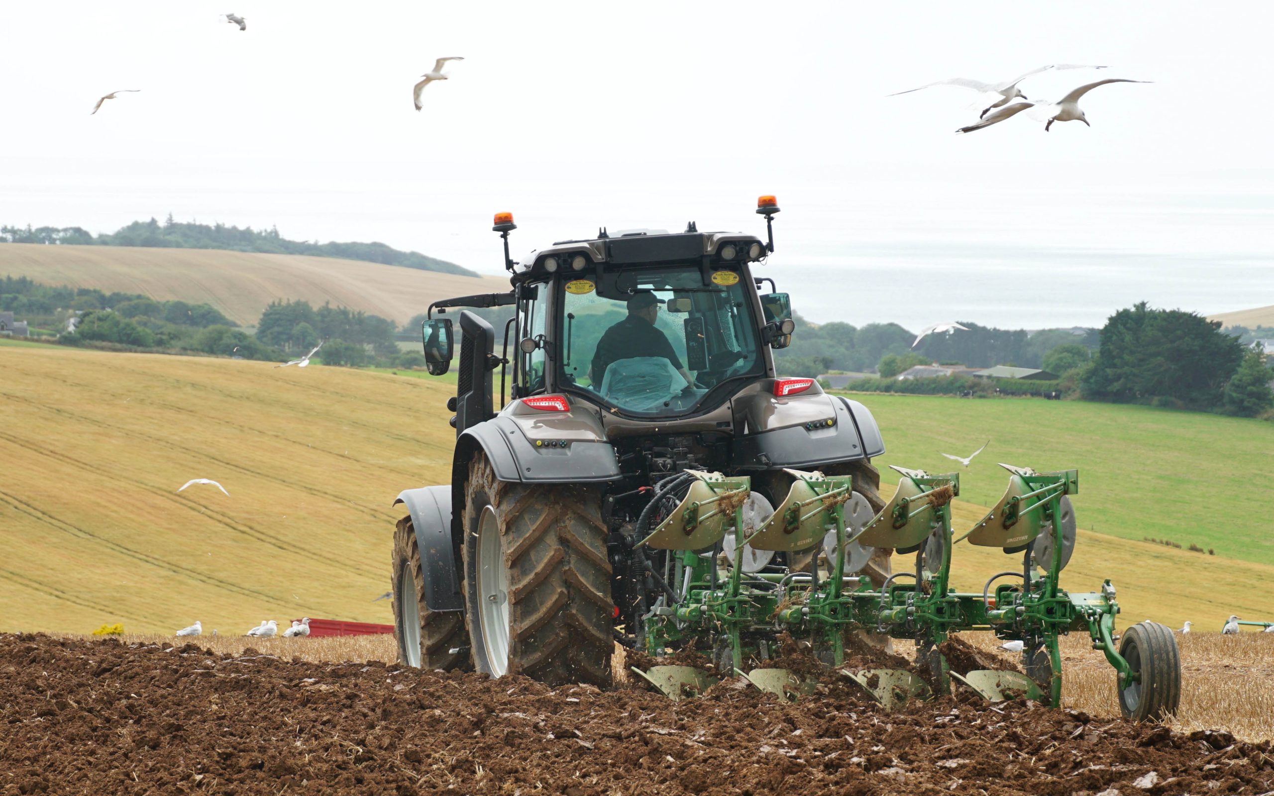 With 80% of its production sold outside of Germany, the company has weathered the storm better than many in the business