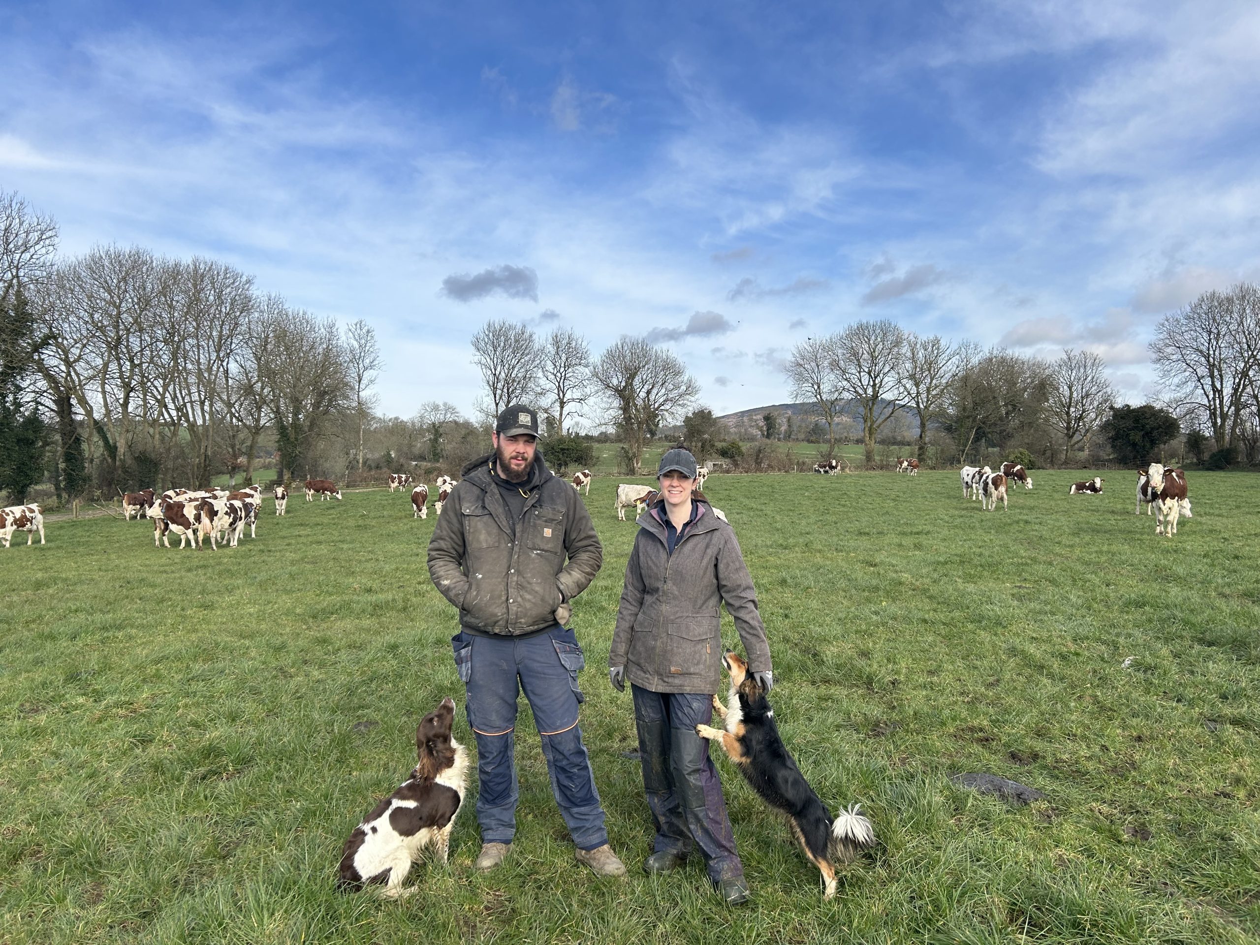 Gordon and Linda Hanbidge with their two dogs and herd of Montbeliarde cows