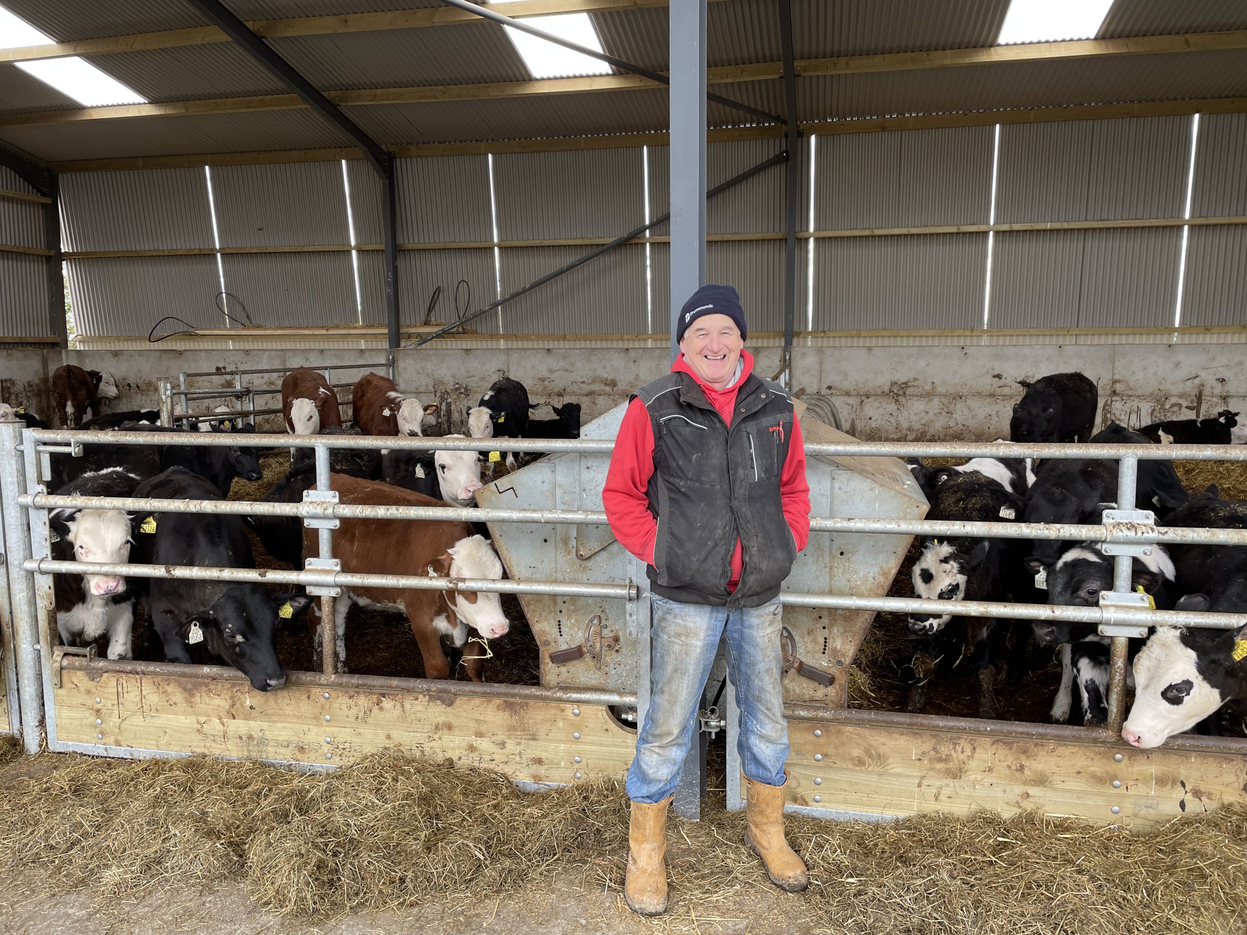 Micheal Dunne pictured with his autumn 2024-born calves in the shed behind