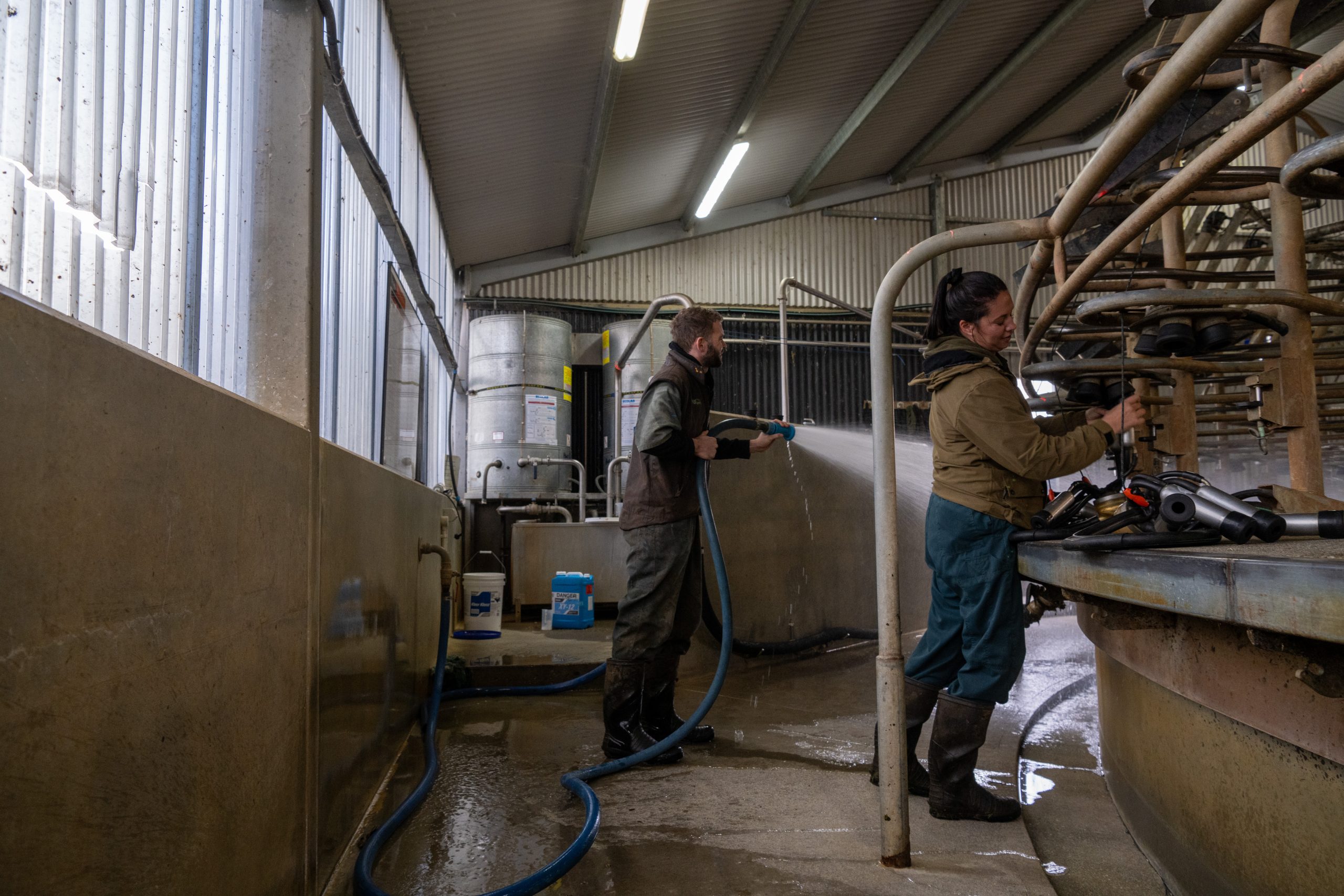 All the labour on the farm is carried out by Will and Kali