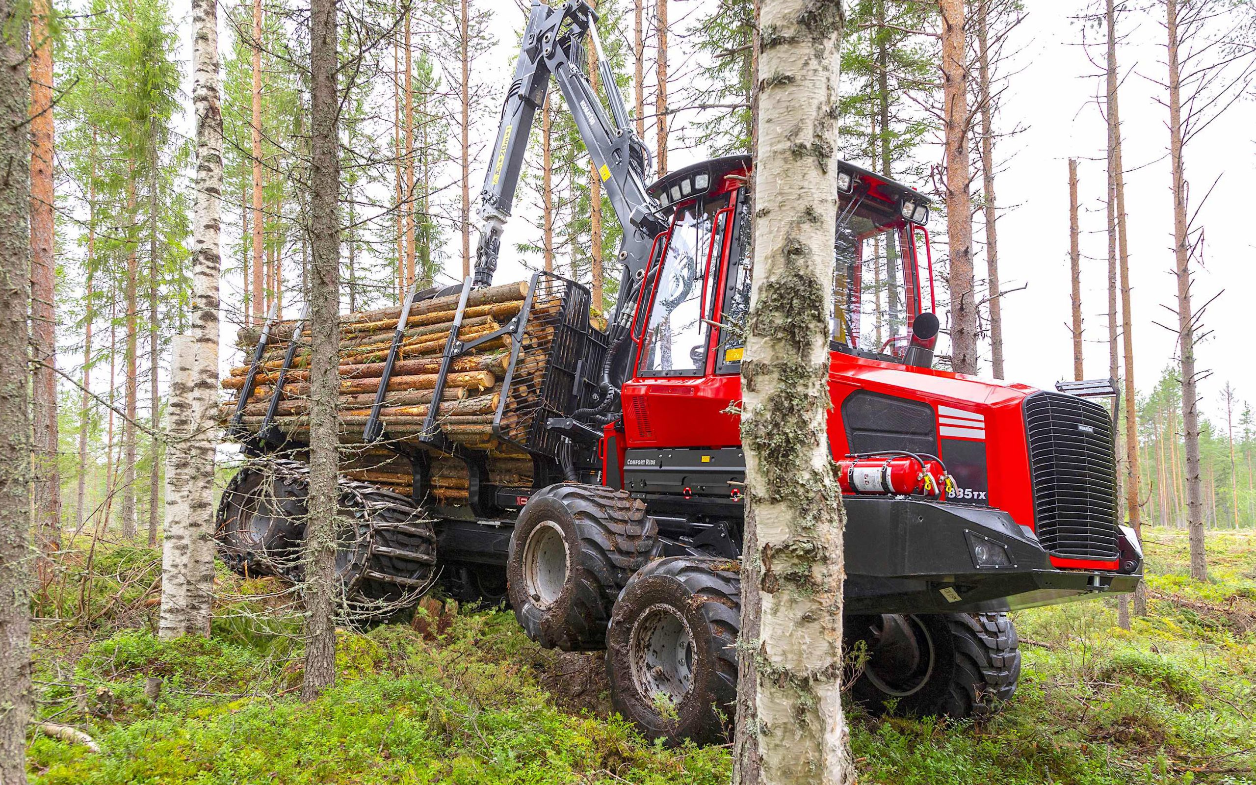 Harvesting and removal of timber from windblown areas should be treated as a priority