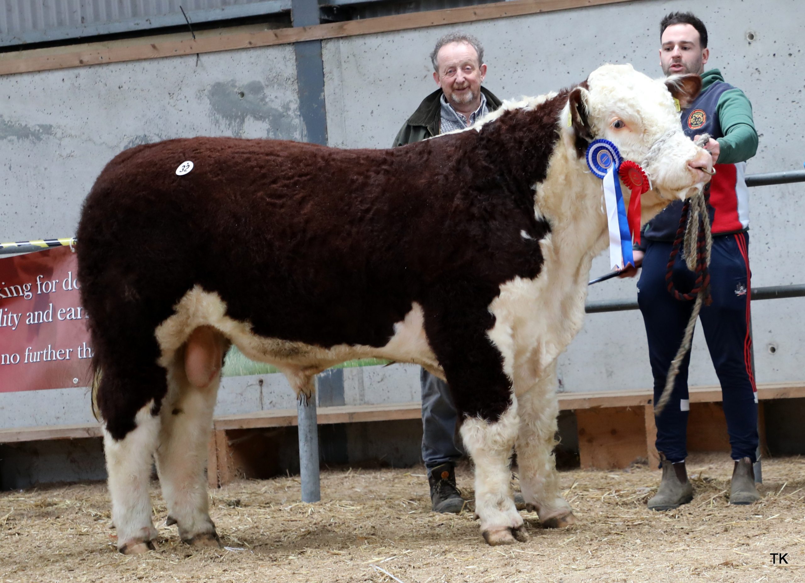 Lot 32 Reserve Champion Balleen Some Machine sold for €7,400 for Tom Brennan