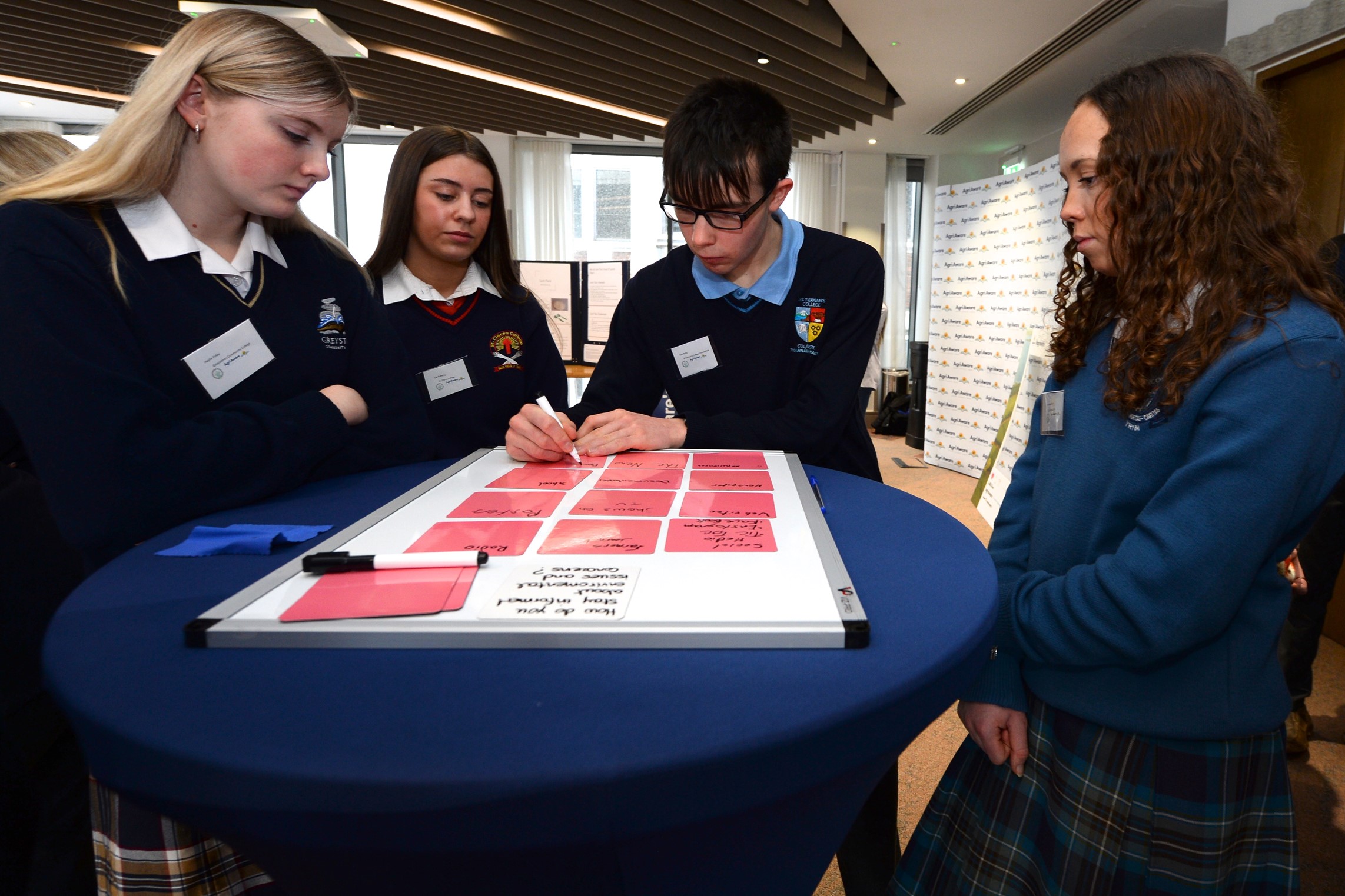 This year’s finalists come from Offaly, Meath, Tipperary, Louth and Dublin.