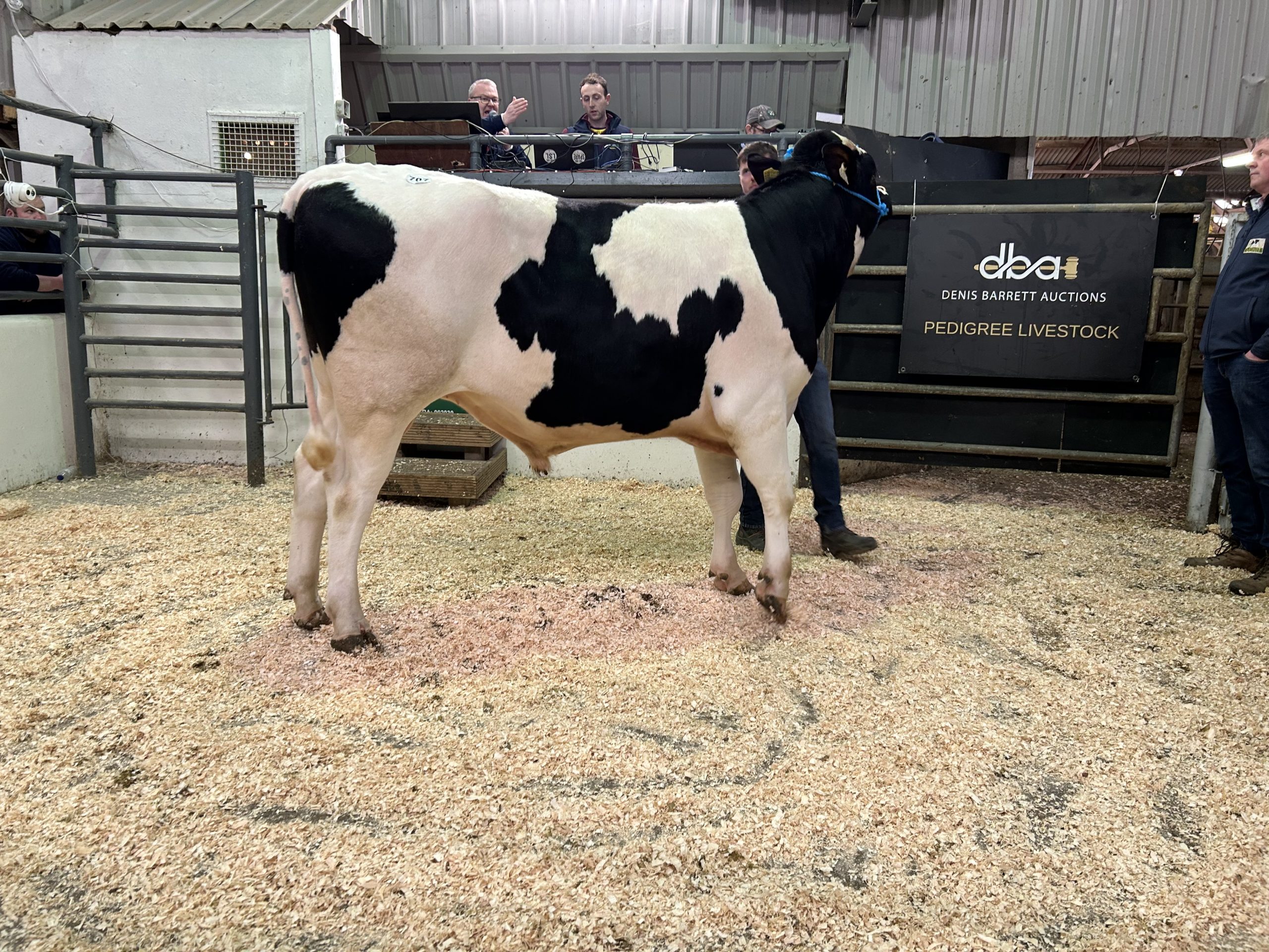 The second highest price of the sale went to Lot 7: Radney Rubble selling for €7,500
