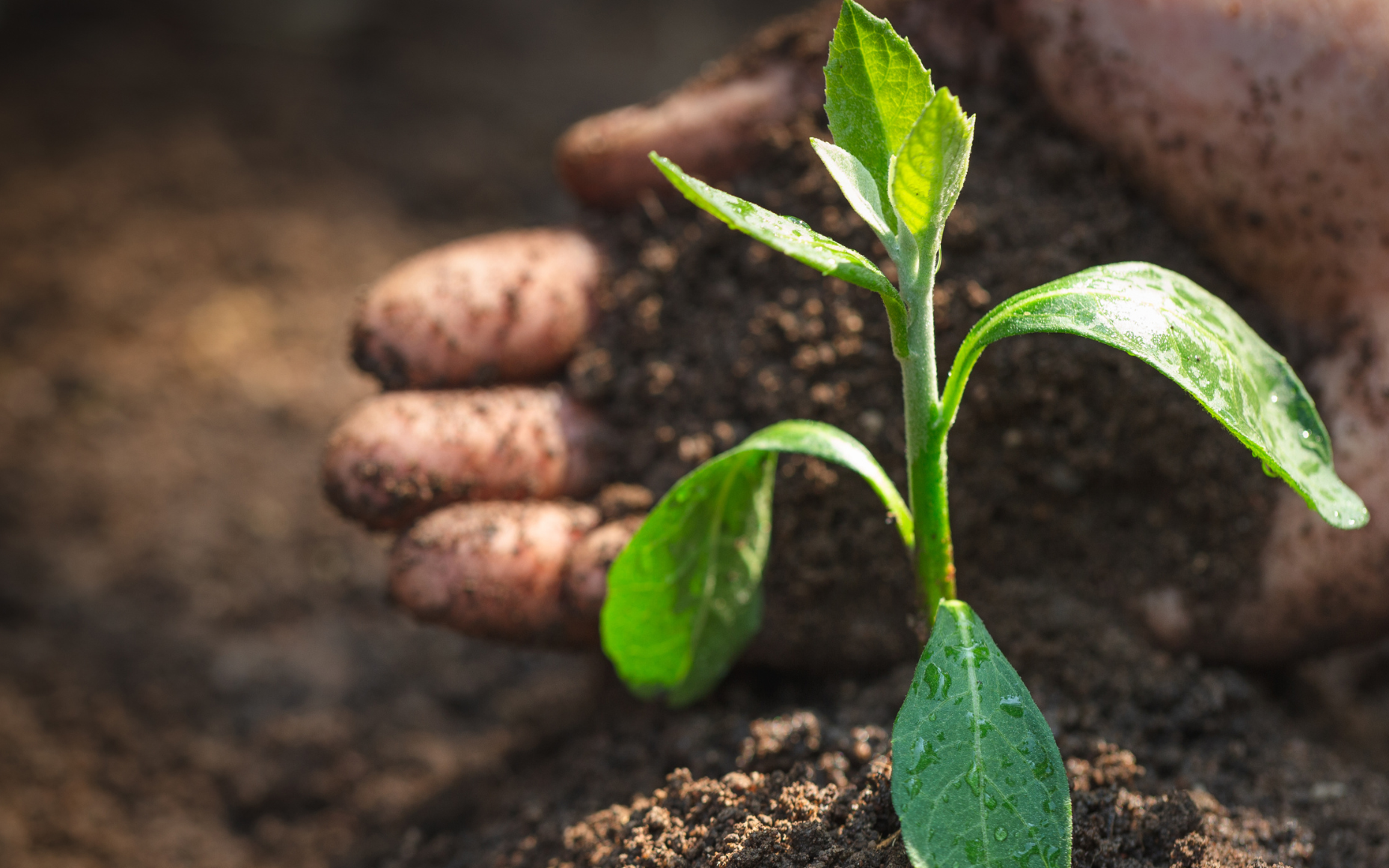 Understanding and caring for the land lies at the heart of the project