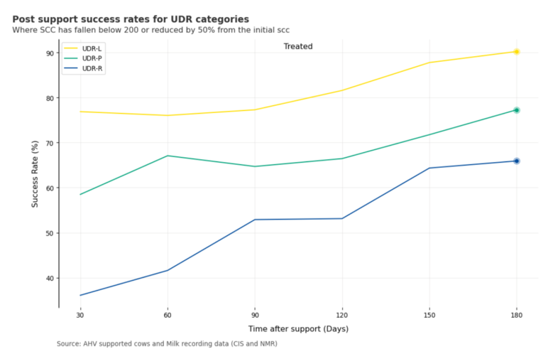 Success rates for SCC reductions after AHV support, depicted over time