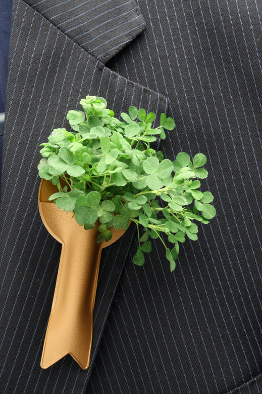 Image source: Irish Plants International