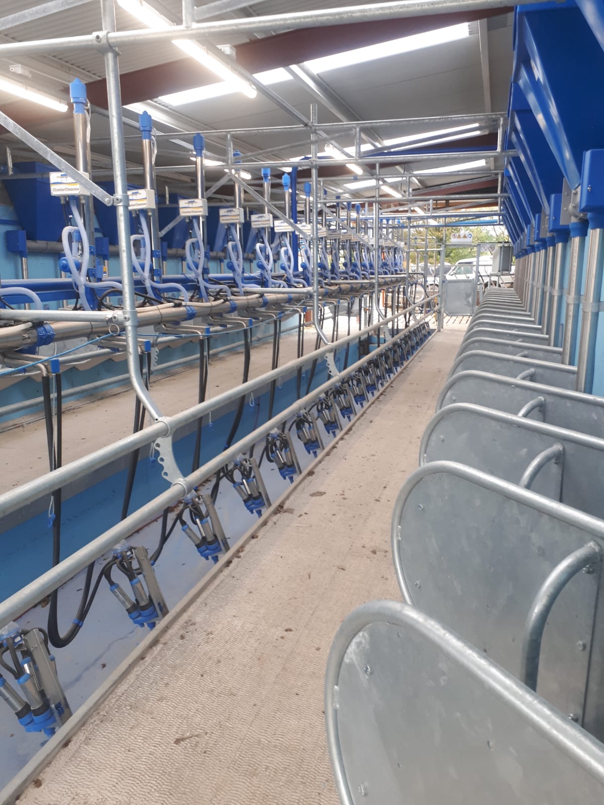 A look at the parlour up beside the Dairymaster troughs