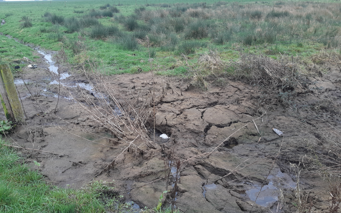 Slurry evident at Clover River system, a tributary of the River Suir. Source: IFI