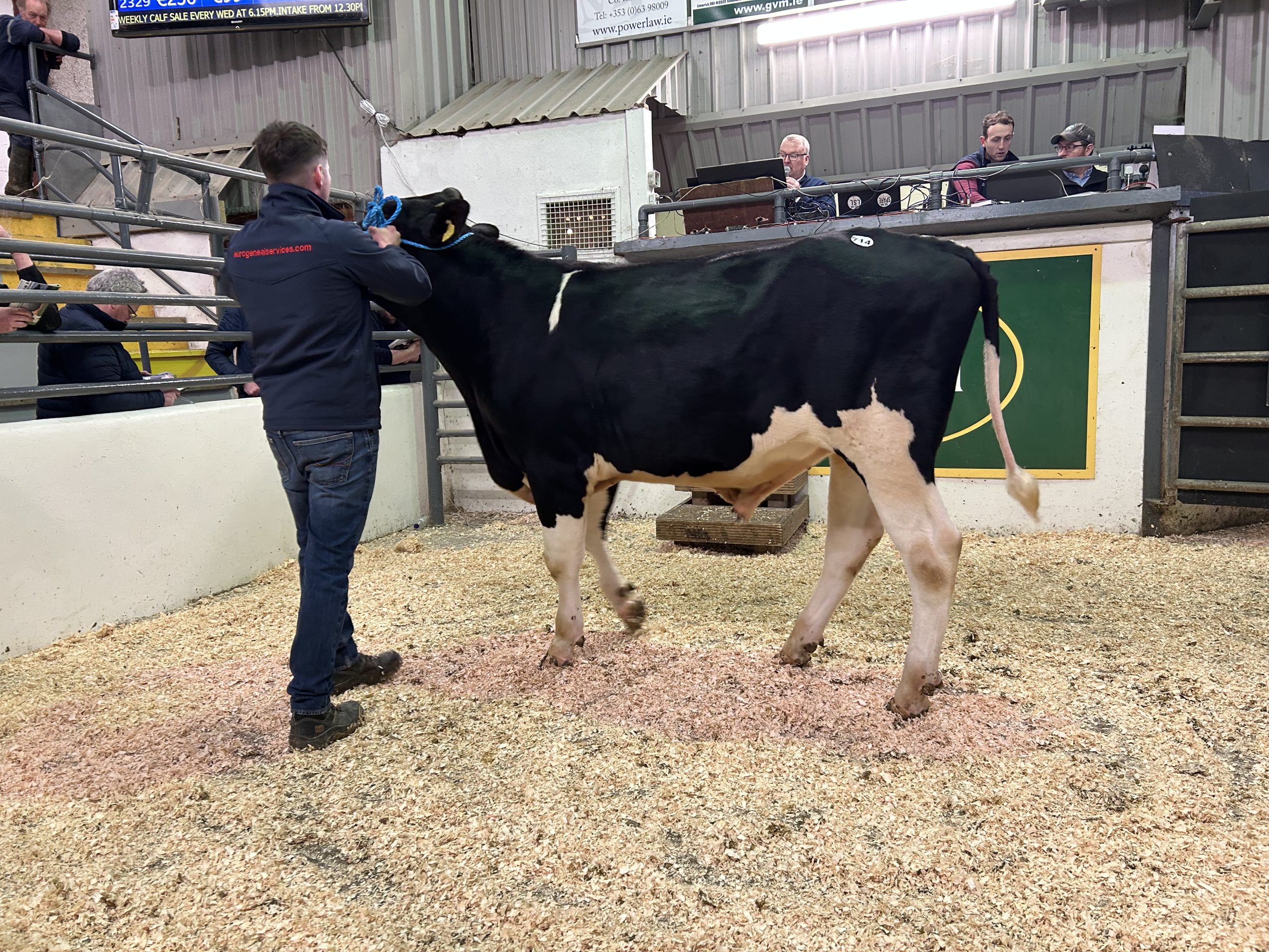 Radney Rabble sold for €7,200