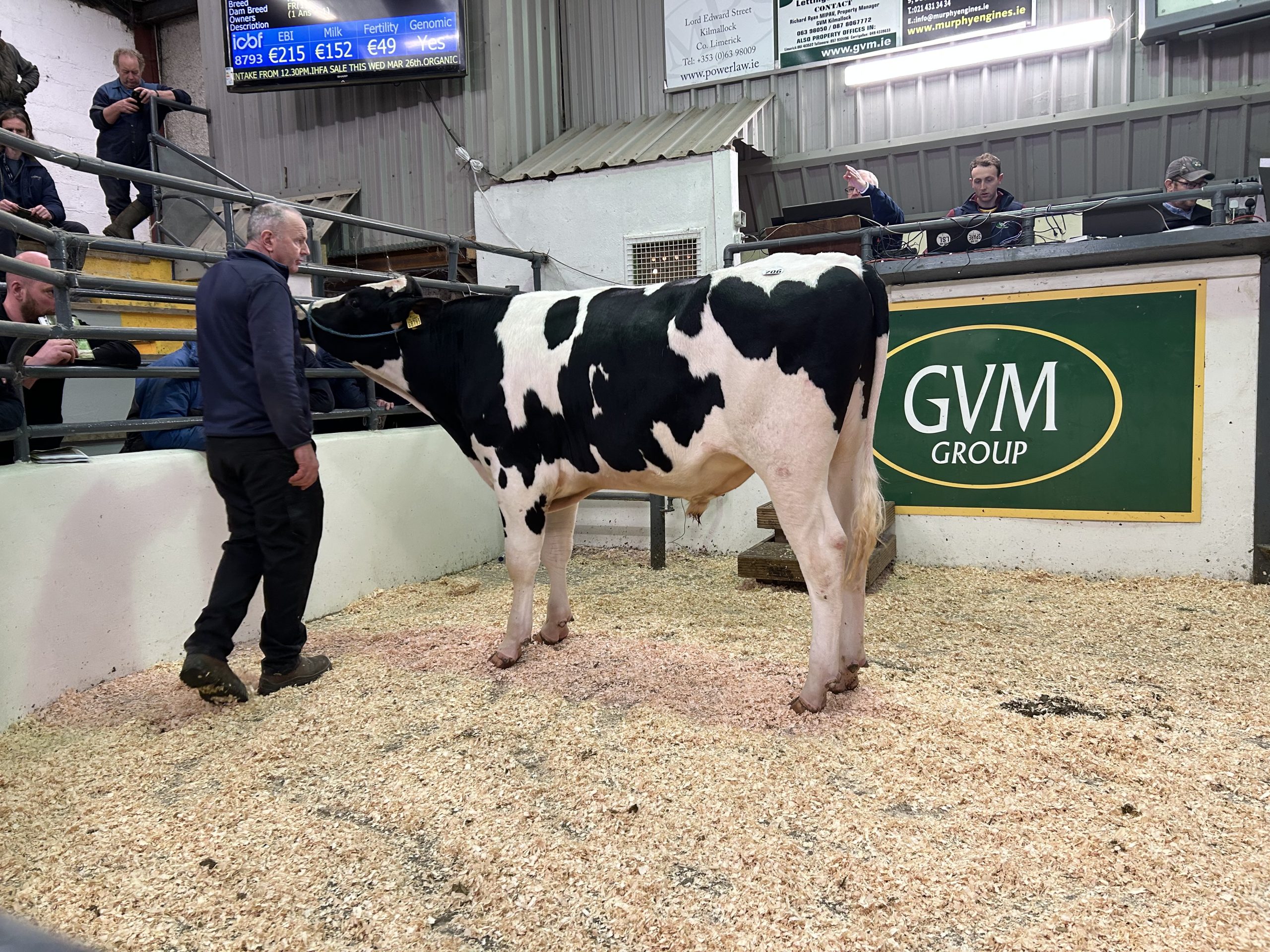 Monamore Valleyboy sold for €6,500