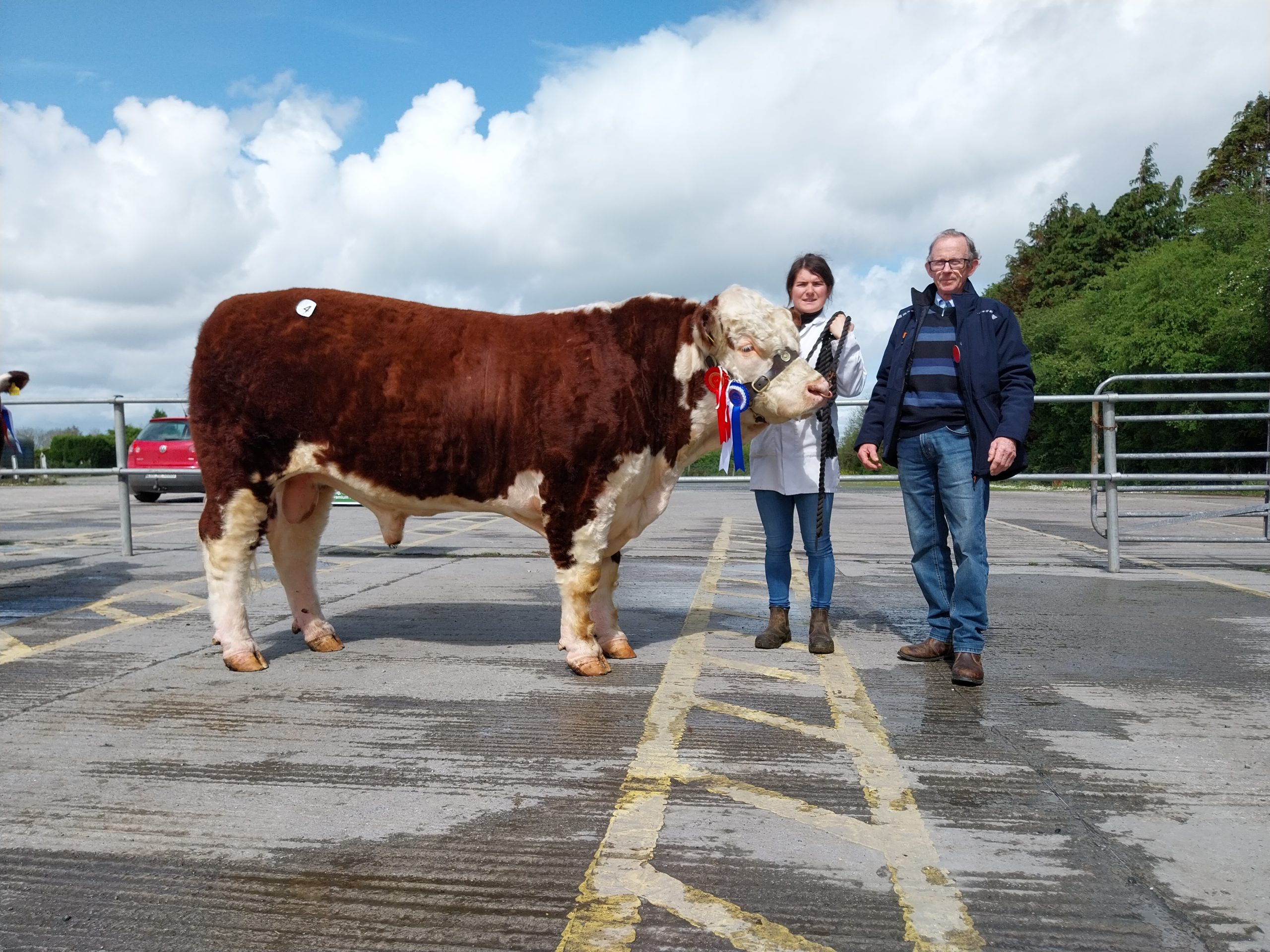Sale Reserve Champion Ardmulchan Ulrich HH with breeder Catherine Smyth and judge Michael Bird. This bull sold for €4,500.