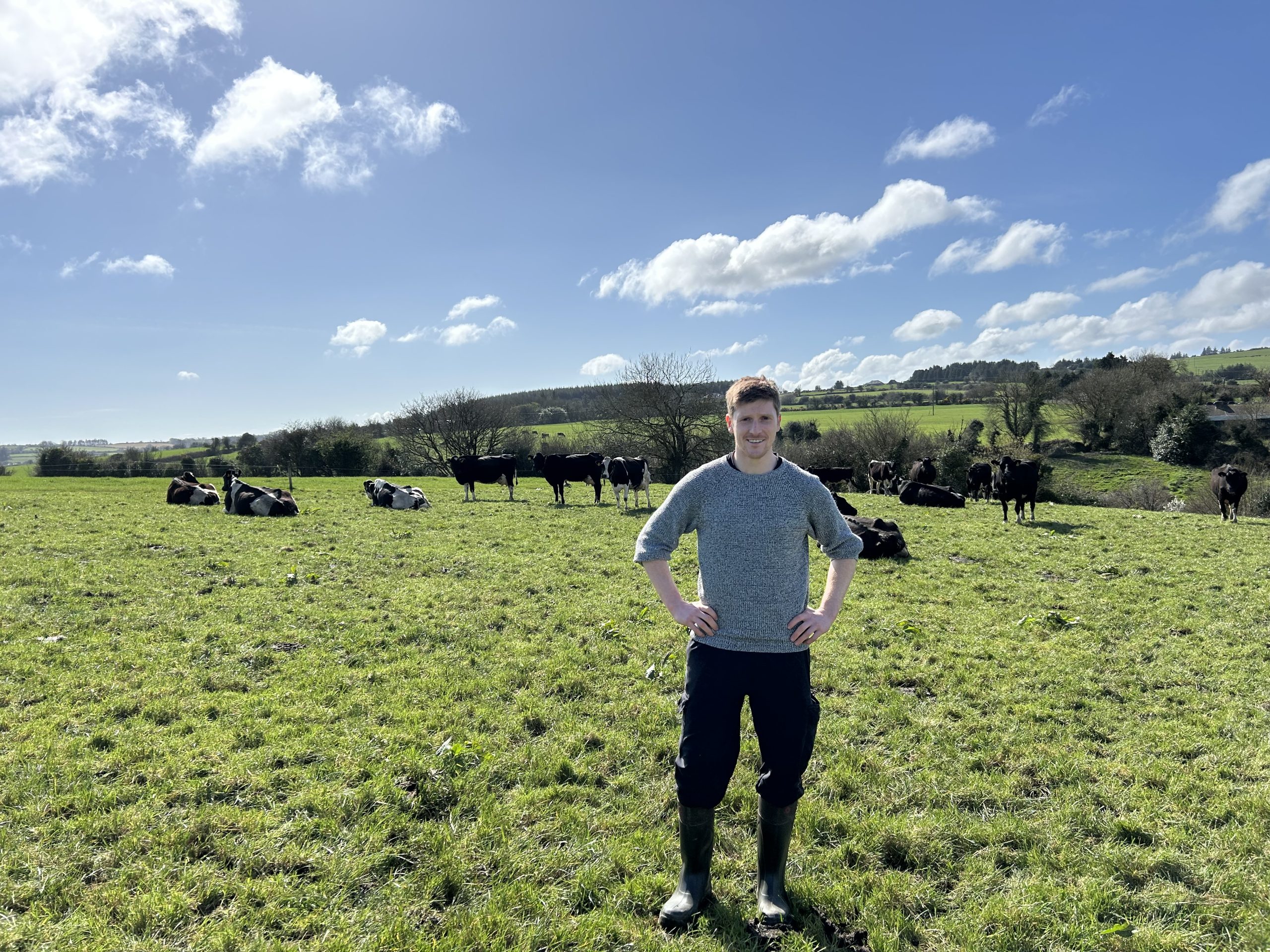 Christopher Kenny with his herd of cows