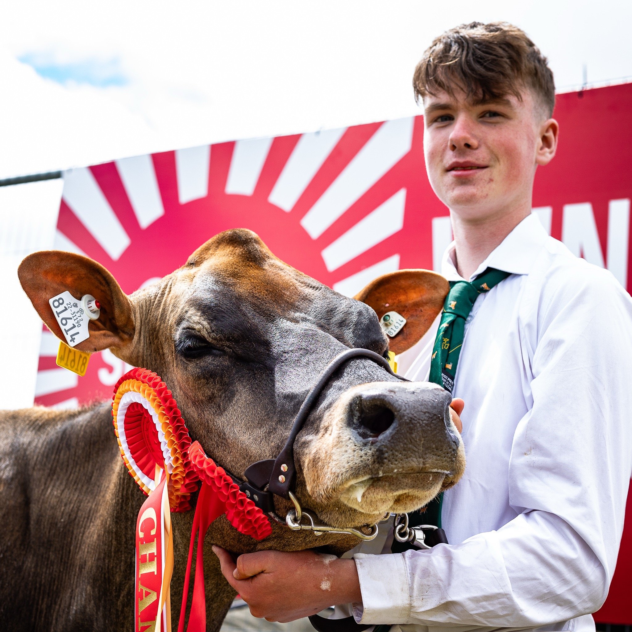 Patrick Ahern with Moorshill Daisybell, who won Champion and Reserve Champion Jersey at last year's Cork Summer Show. Image source: Clare Keogh.