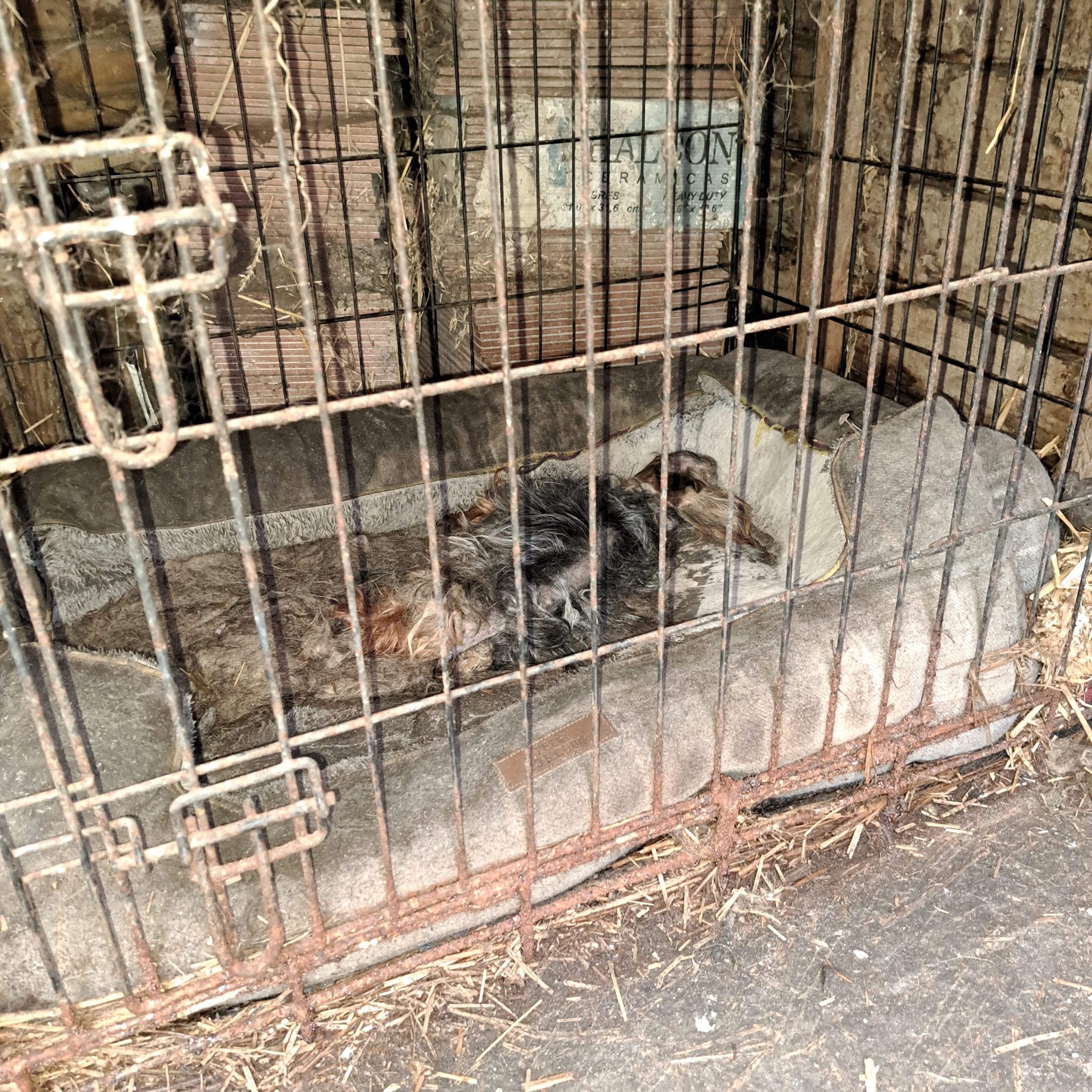 Source: ISPCA