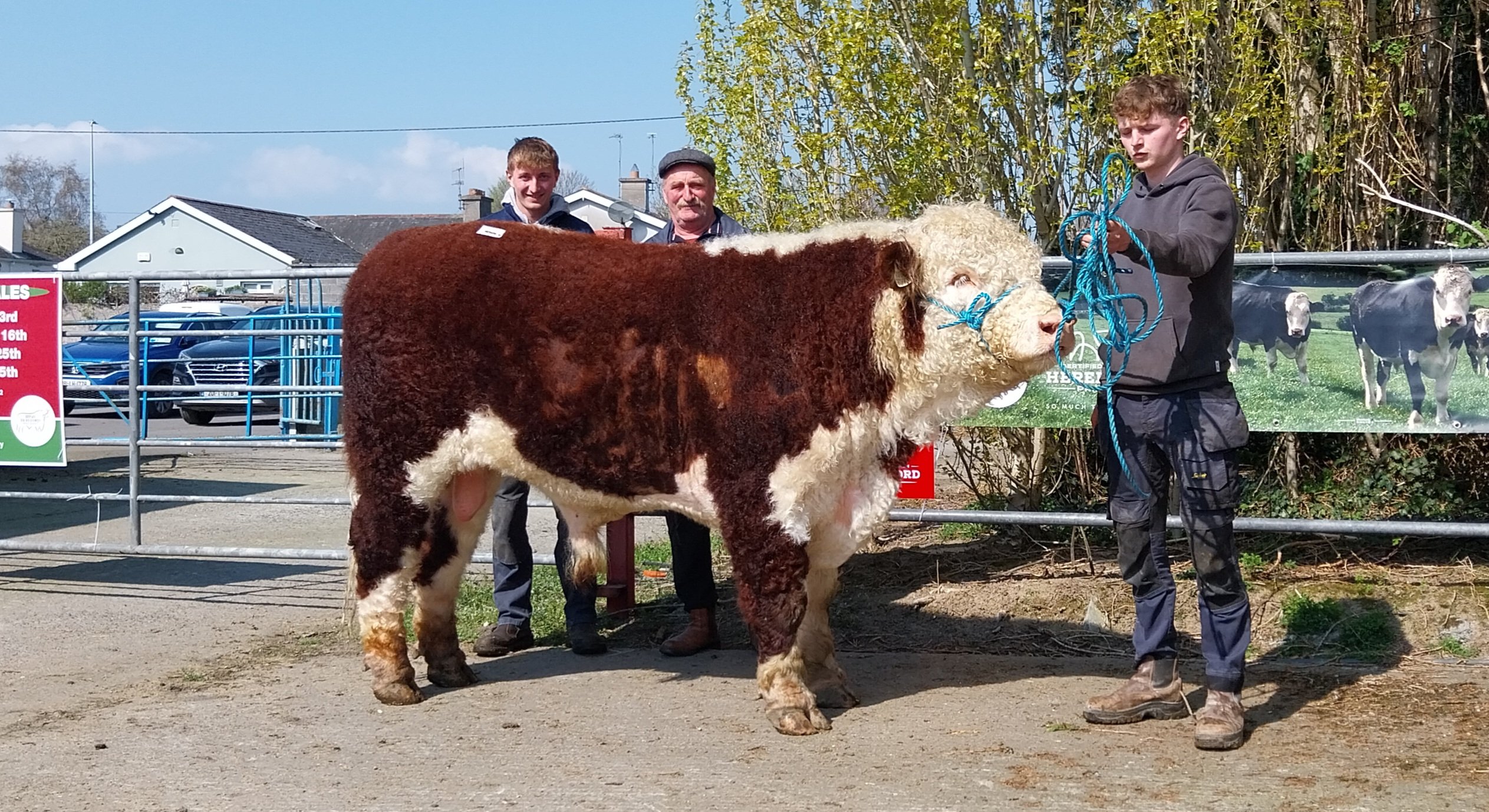 Mullaghey 1 Maurice HH pictured with Dan and Brian Farrell and buyer Pat Heffernan