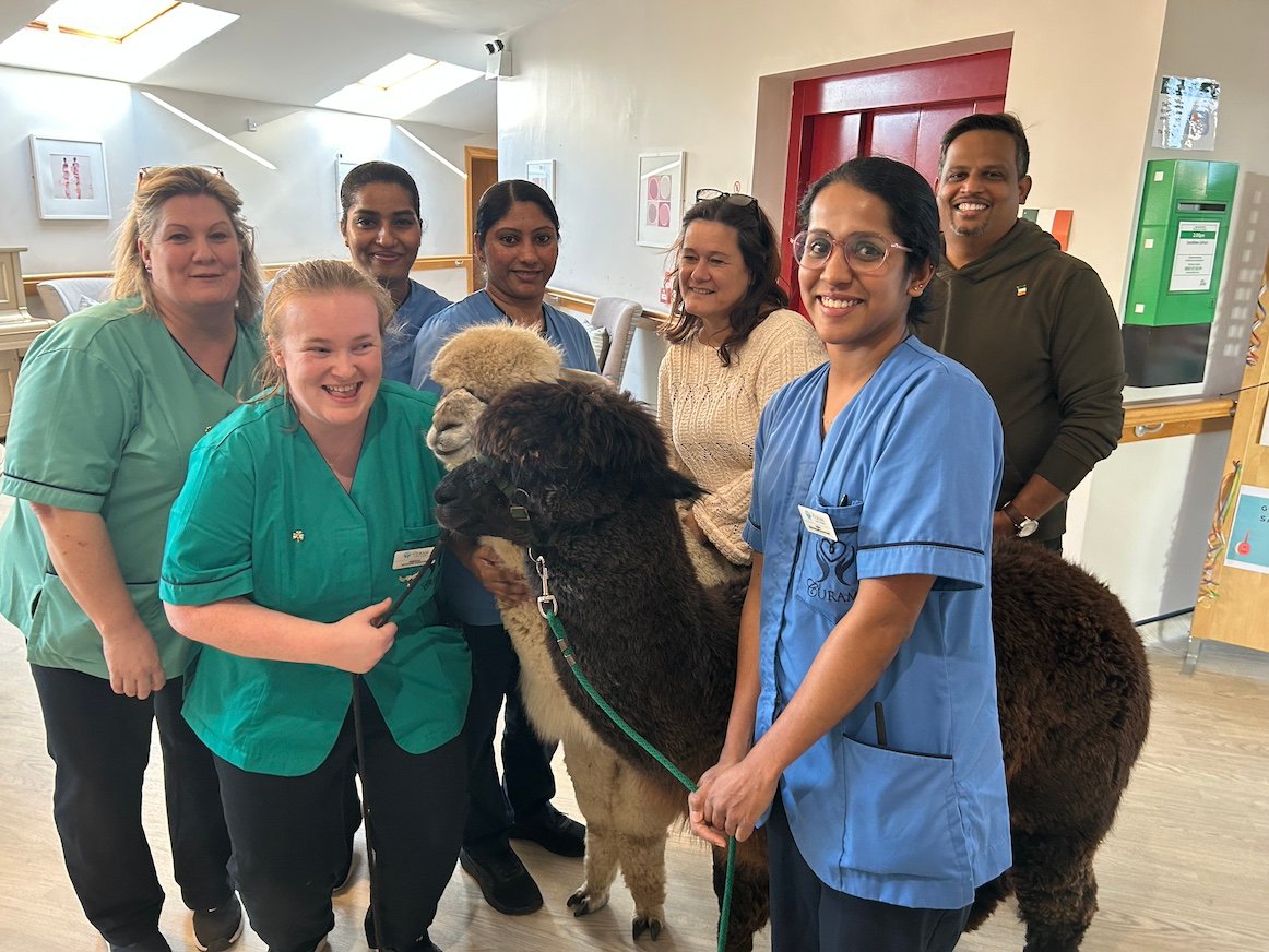 The staff of Oakfield enjoying a visit from the alpacas: Sinead, Rebecca, Ligy, Sonia, Tincy, Anne, and Spergeon.