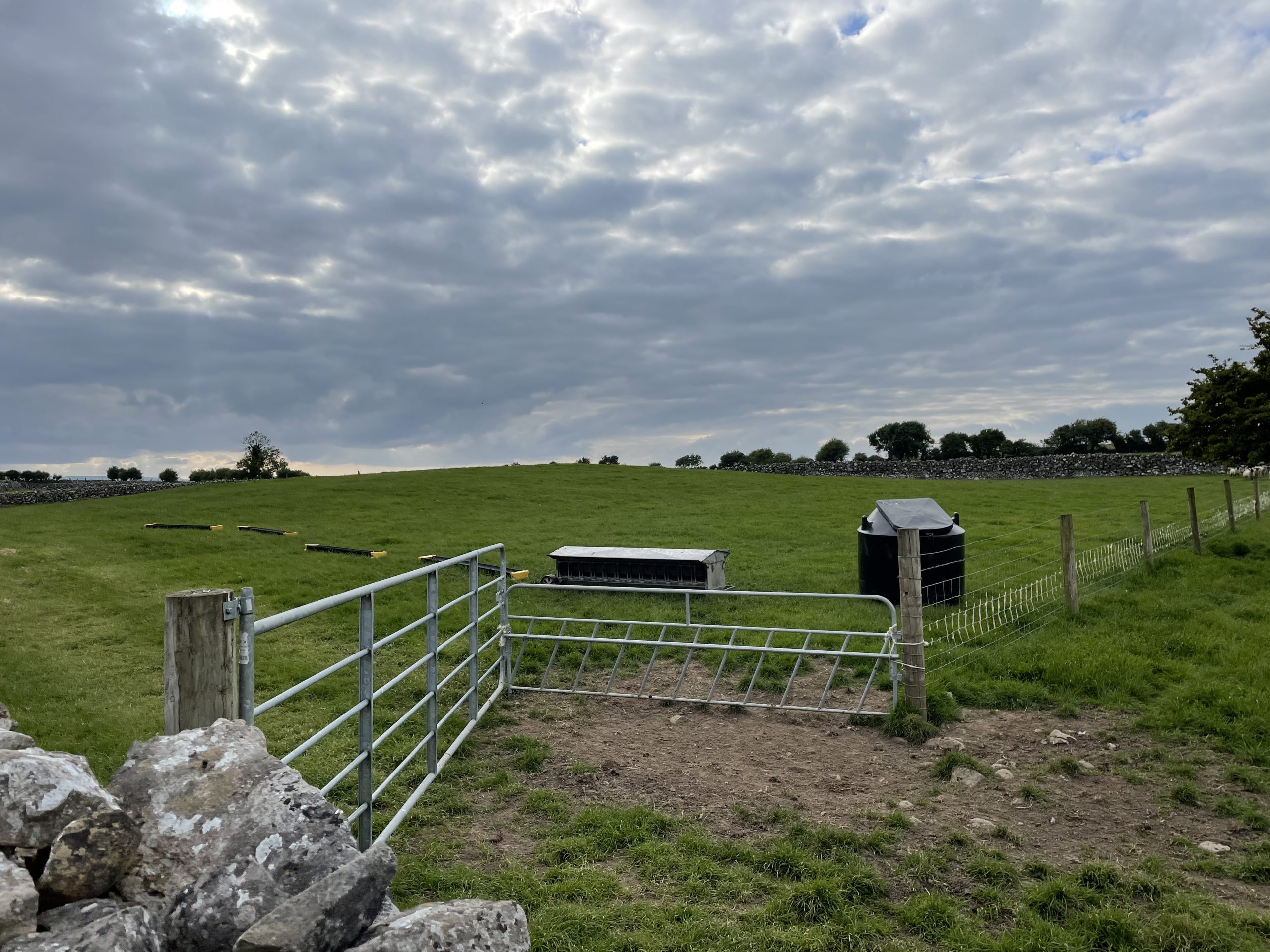 Example of a creep grazing set-up used for a sheep flock. Lambs can be fed concentrates in the next paddock and have access to better-quality grass