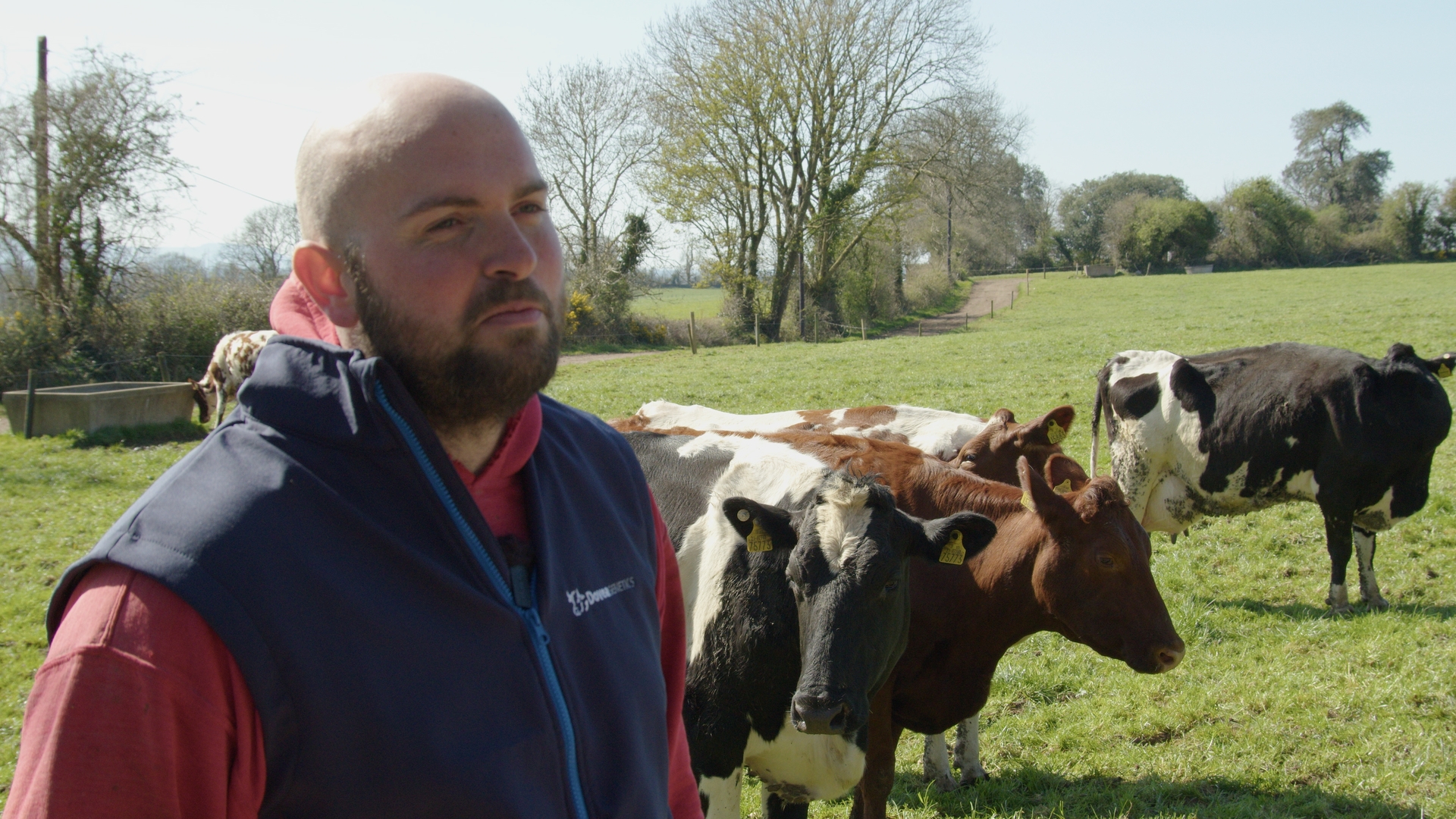 Mike Dunne on his farm in Kilworth, Co. Cork. Source: Dovea Genetics
