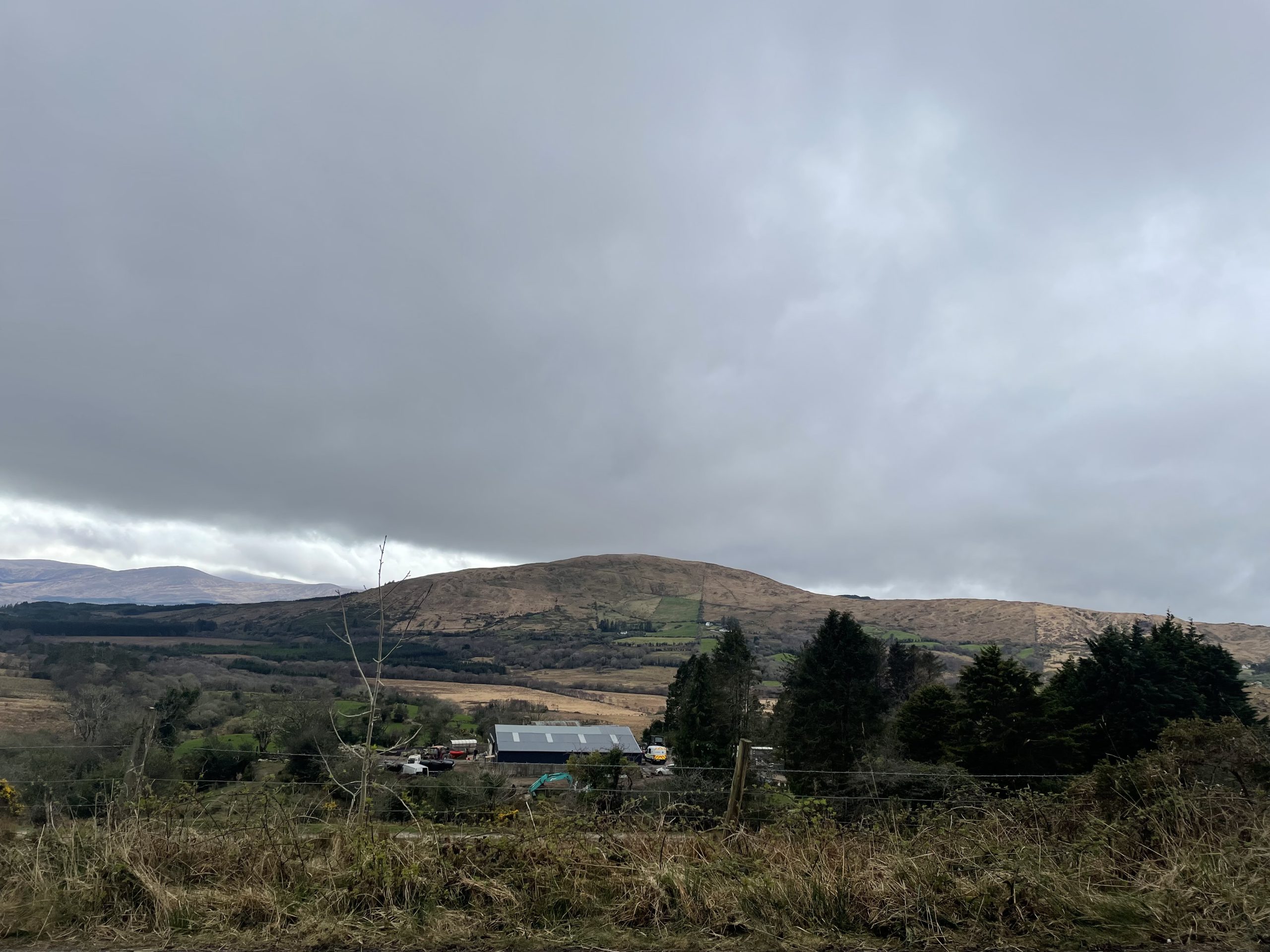 Gardaí have maintained a presence at Michael Gaine's farm yard