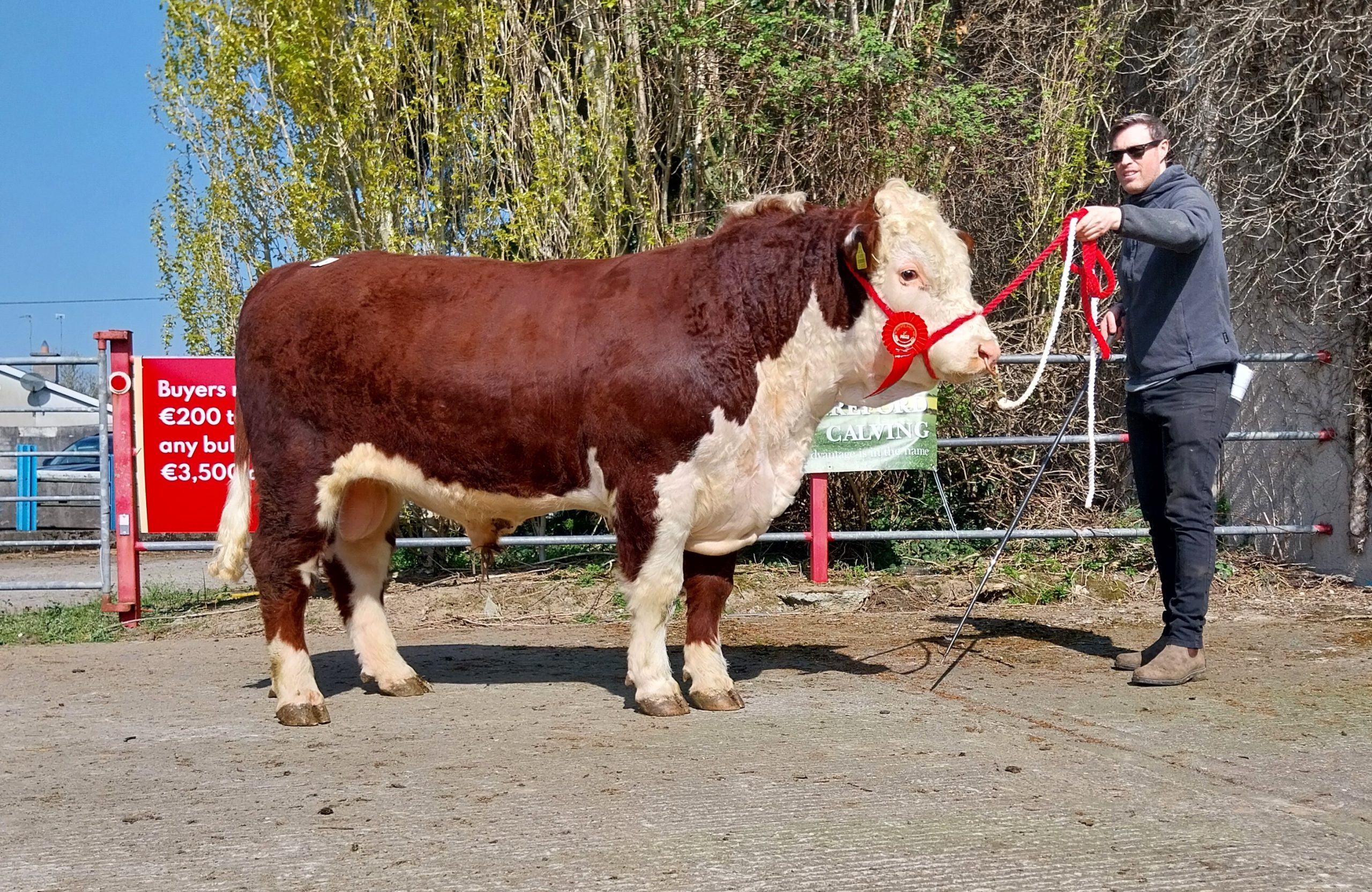 Dromona Wizard 1003 ET HH with breeder Maurice Geary