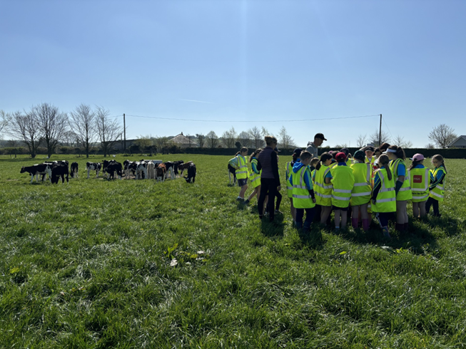 Over 65 primary school students from Scoil Mhuire Knockavillans and Thomastown National School joined Michael Ryan, Agri Aware and Dairygold on his farm