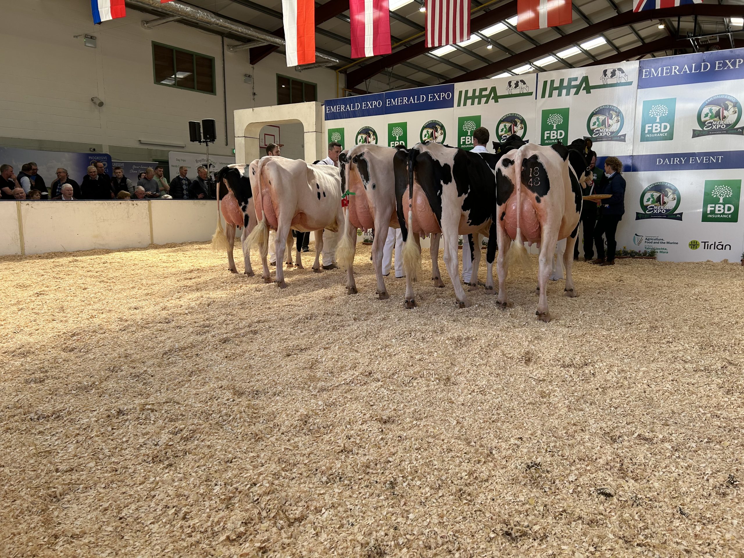 Judging taking place at the Emerald Expo