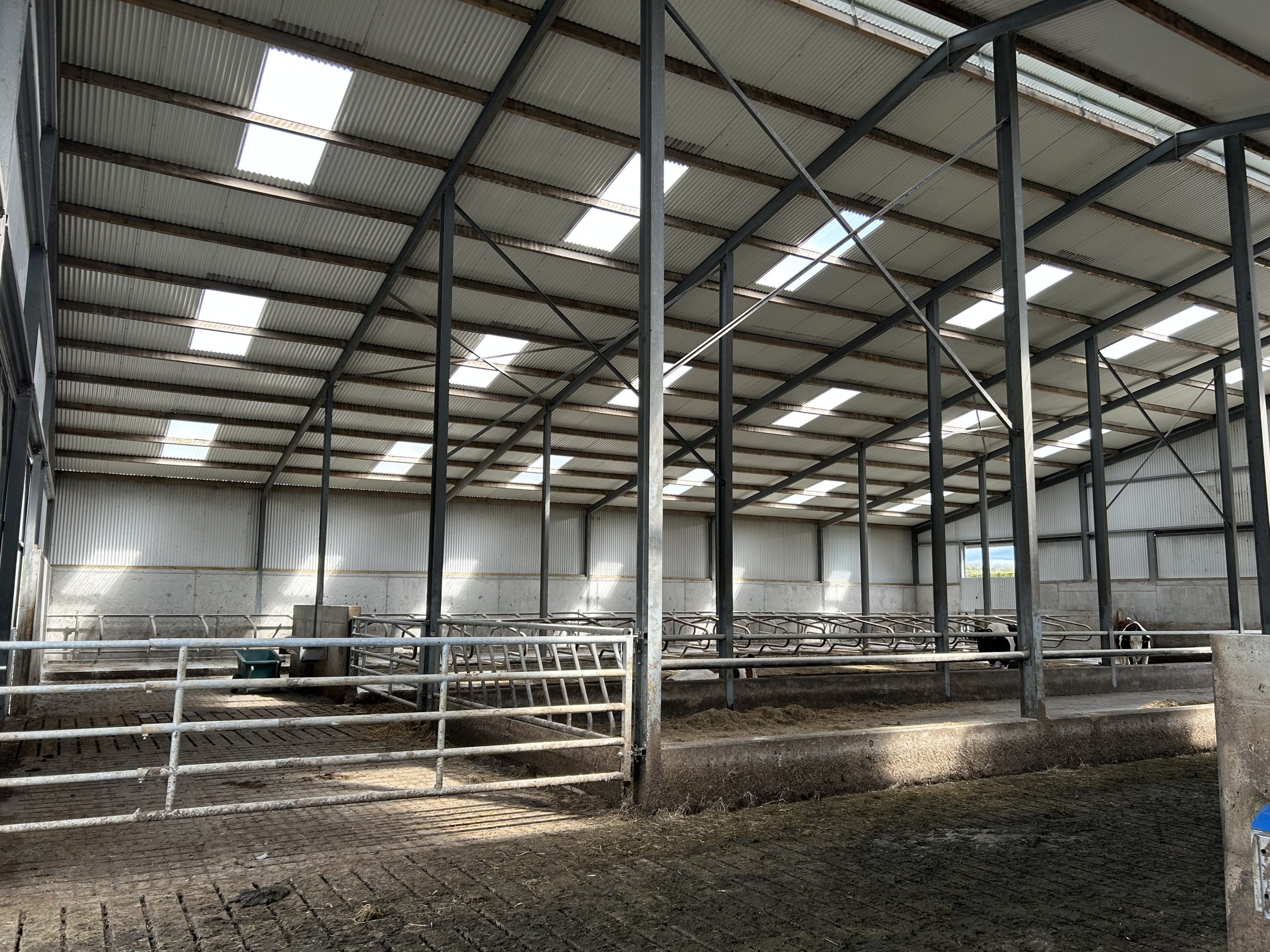 A look inside the new cubicle shed