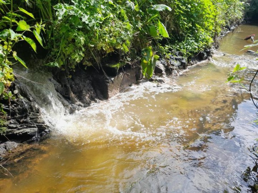 Discharge entering the Pound River. Image: Inland Fisheries Ireland