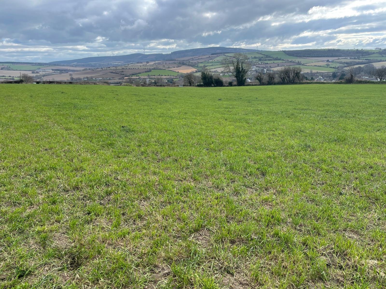 The farm cover is currently at 800kg DM/Ha with a demand at 27kg/ha