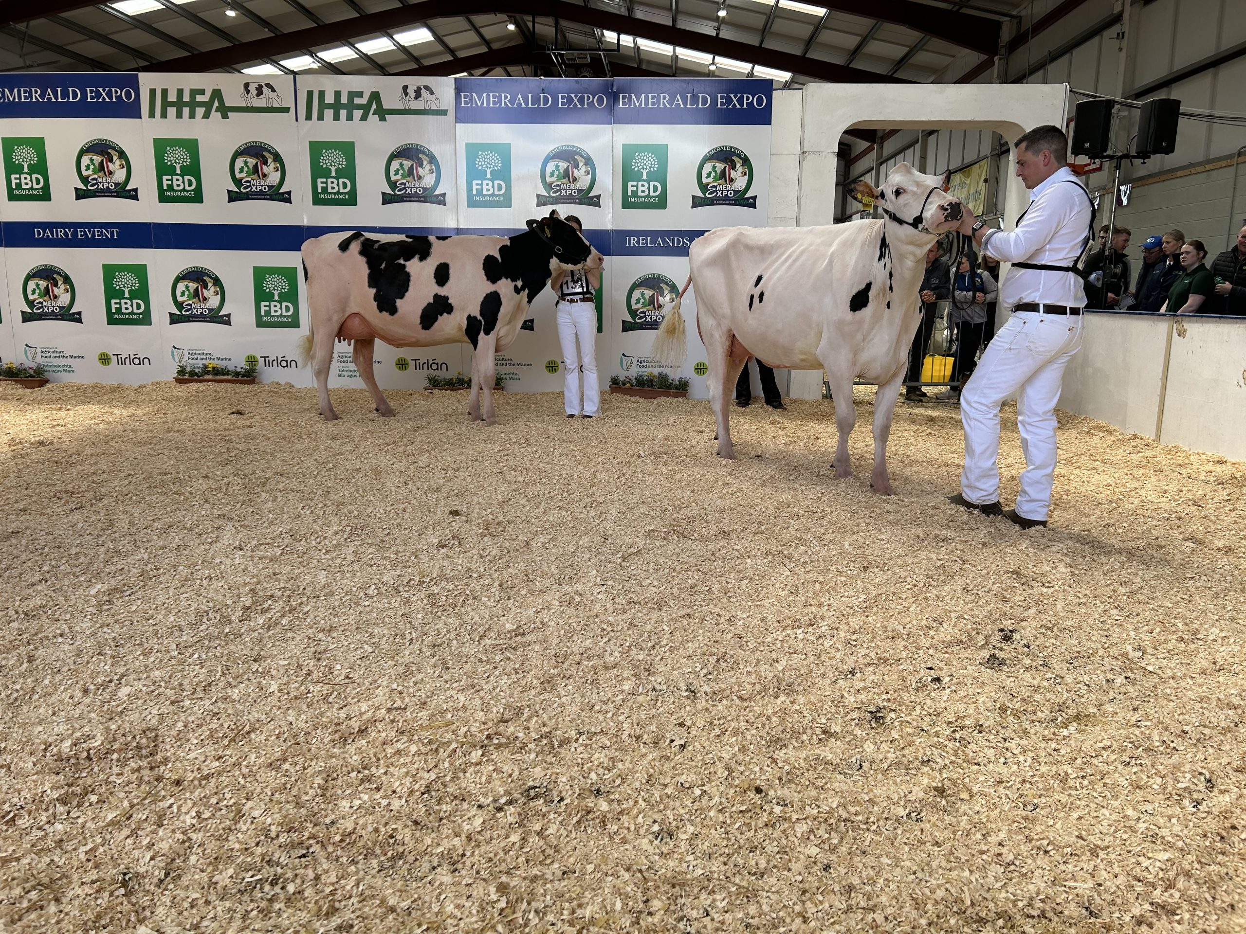 Handlers at the Emerald Expo