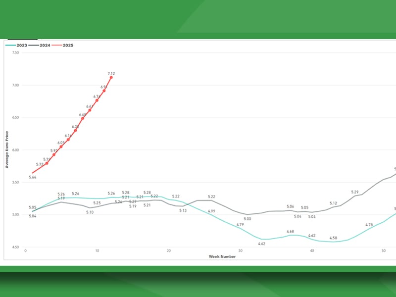 Weekly R3 steer price showing 2023, 2024 and 2025 to date. Source: Bord Bia