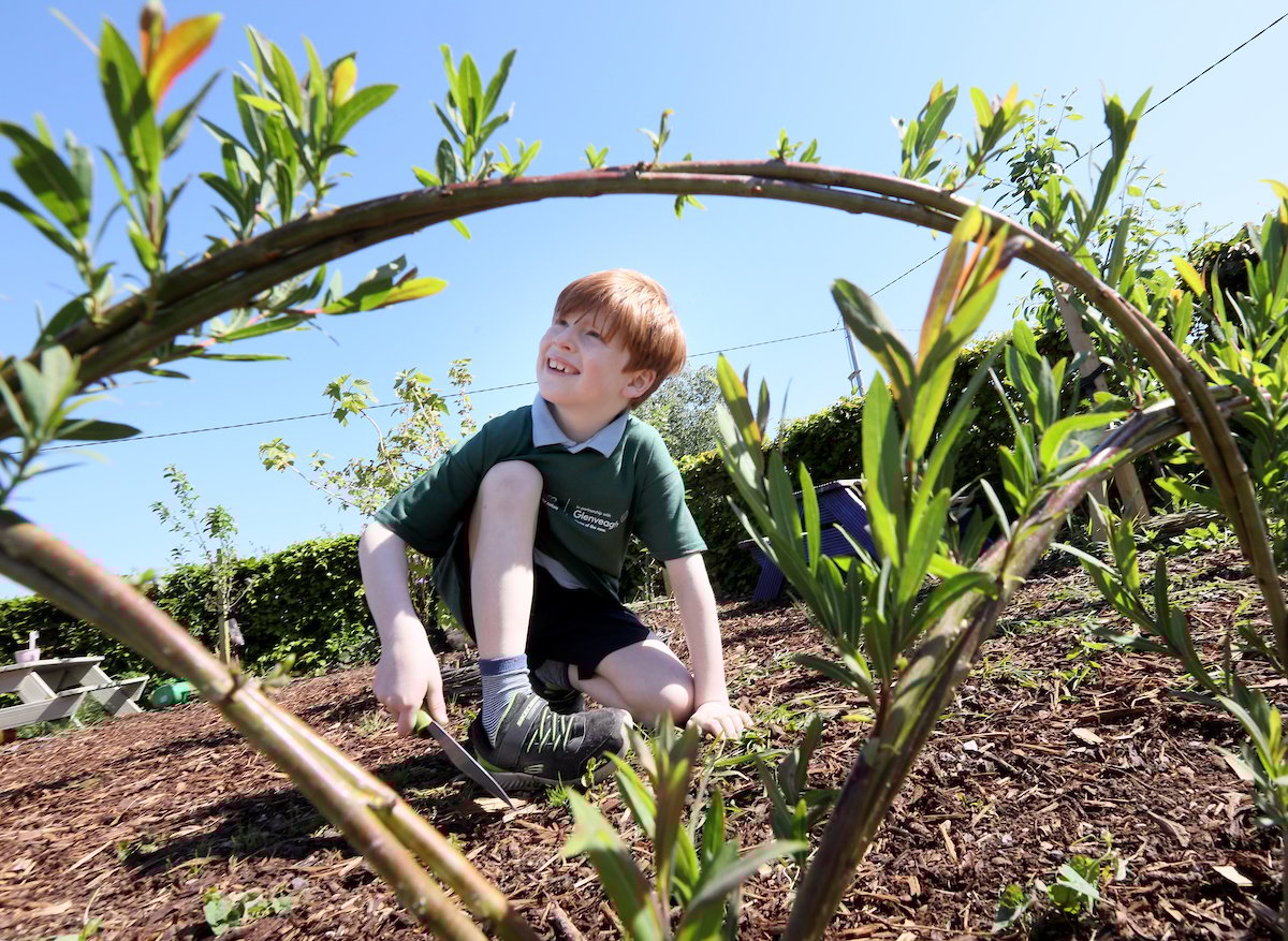 A pupil from Scoil Uí Ghramhnaigh