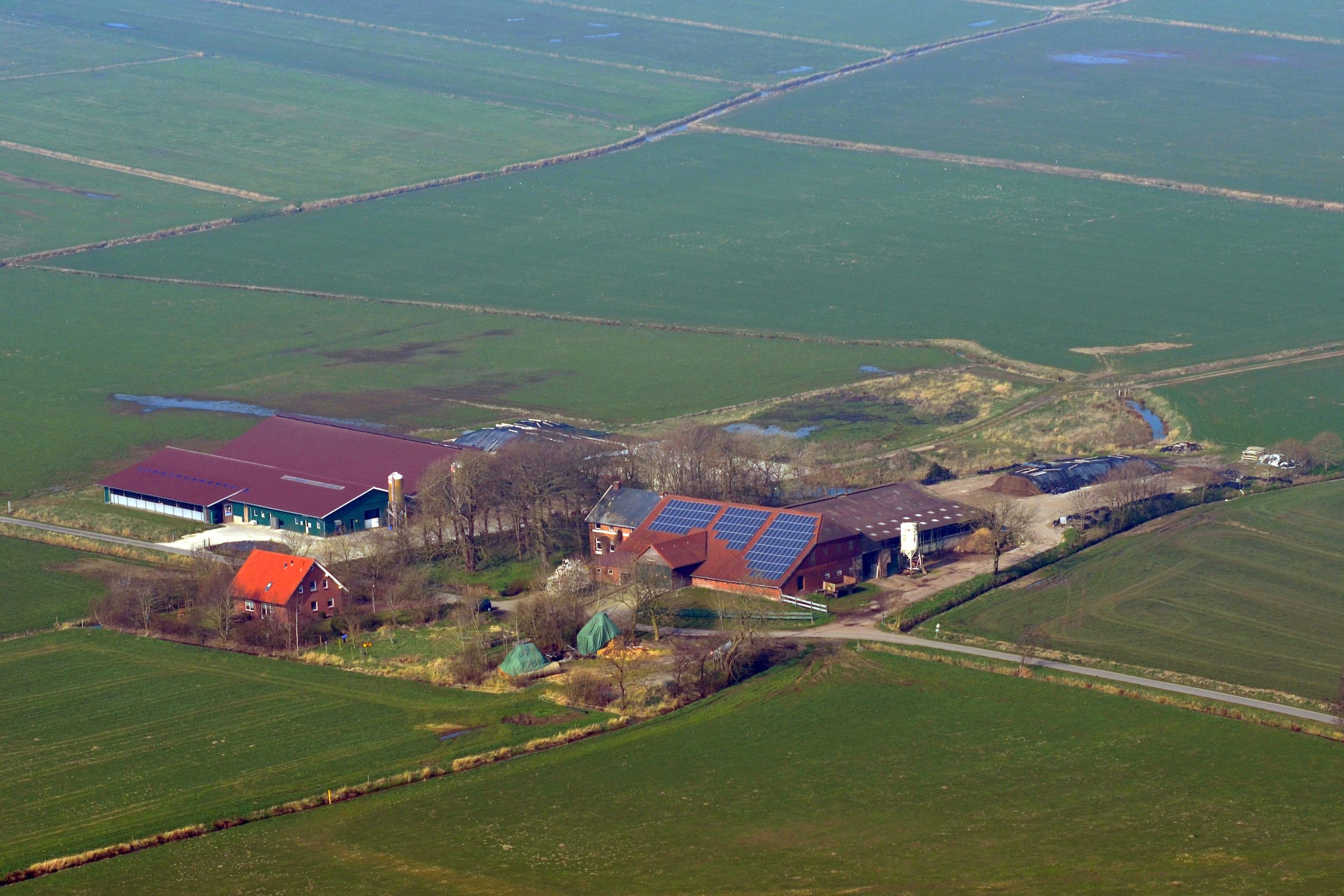 The Venema brothers run their dairy farm in the East Frisia region of northern Germany