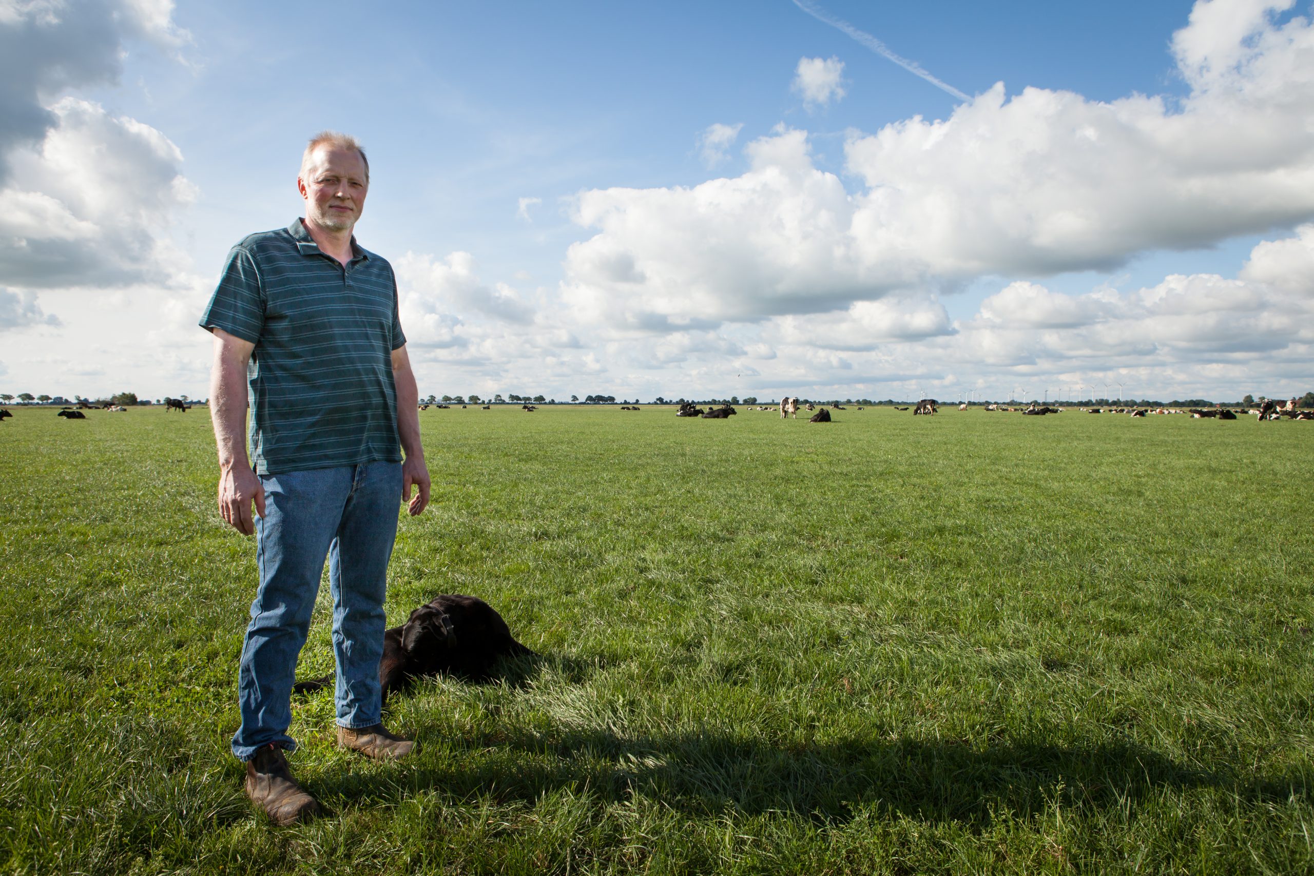 Amos Venema farms 130ha, most of which is in grassland