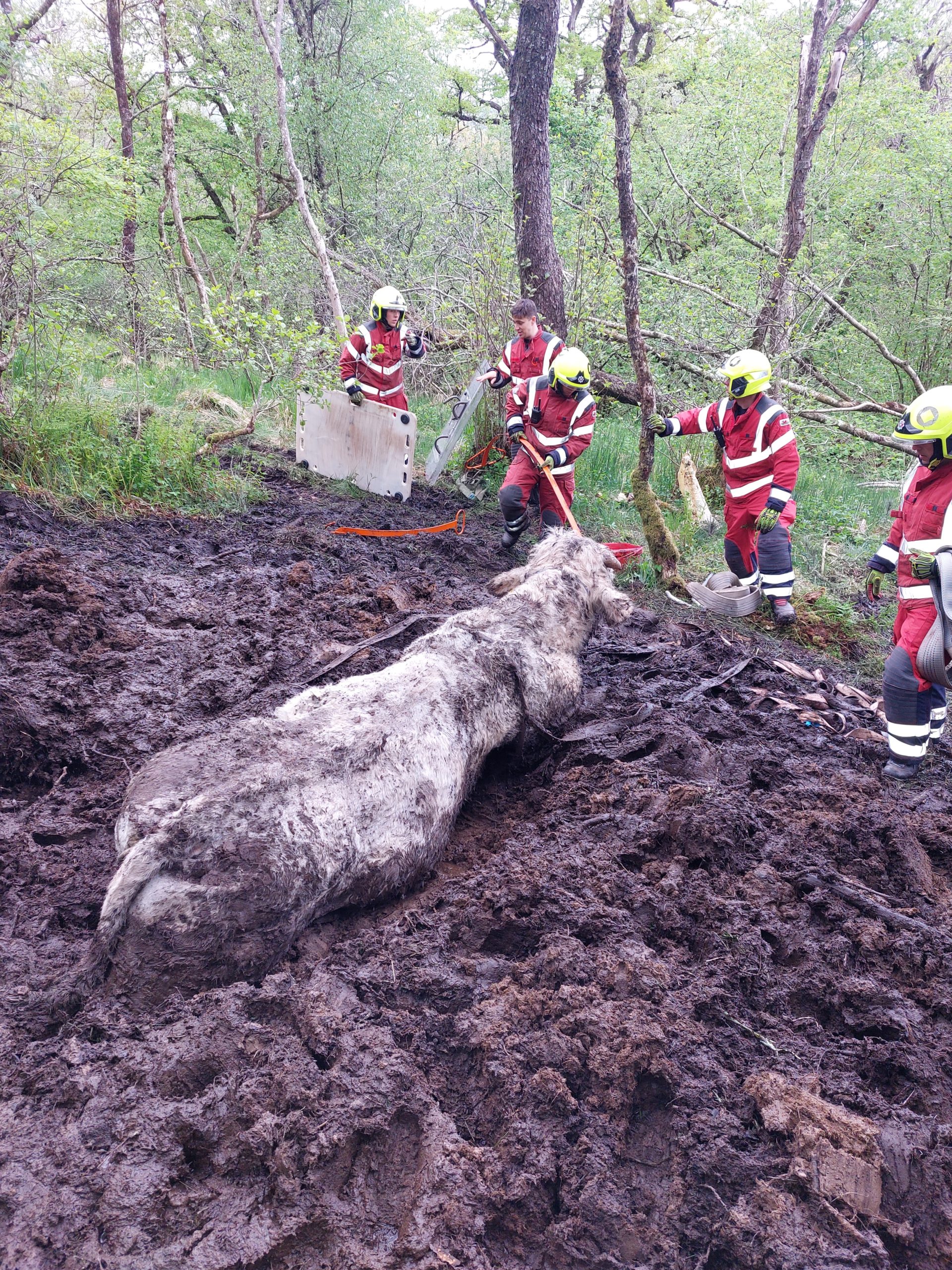 Image:&nbsp;Mid and West Wales Fire and Rescue Service