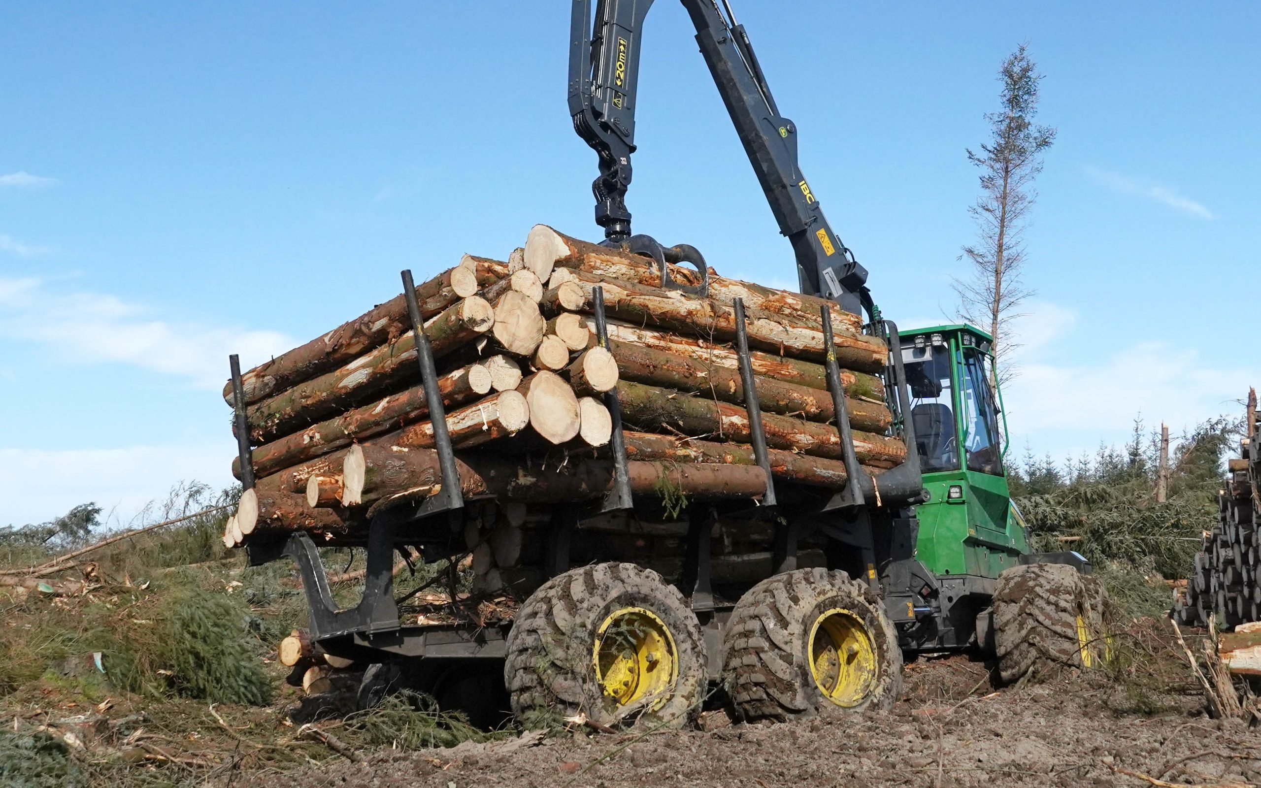 The value of timber is likely to increase dramatically over the coming years, according to Forest Industries Ireland, which is part of the business lobbying group, Ibec.