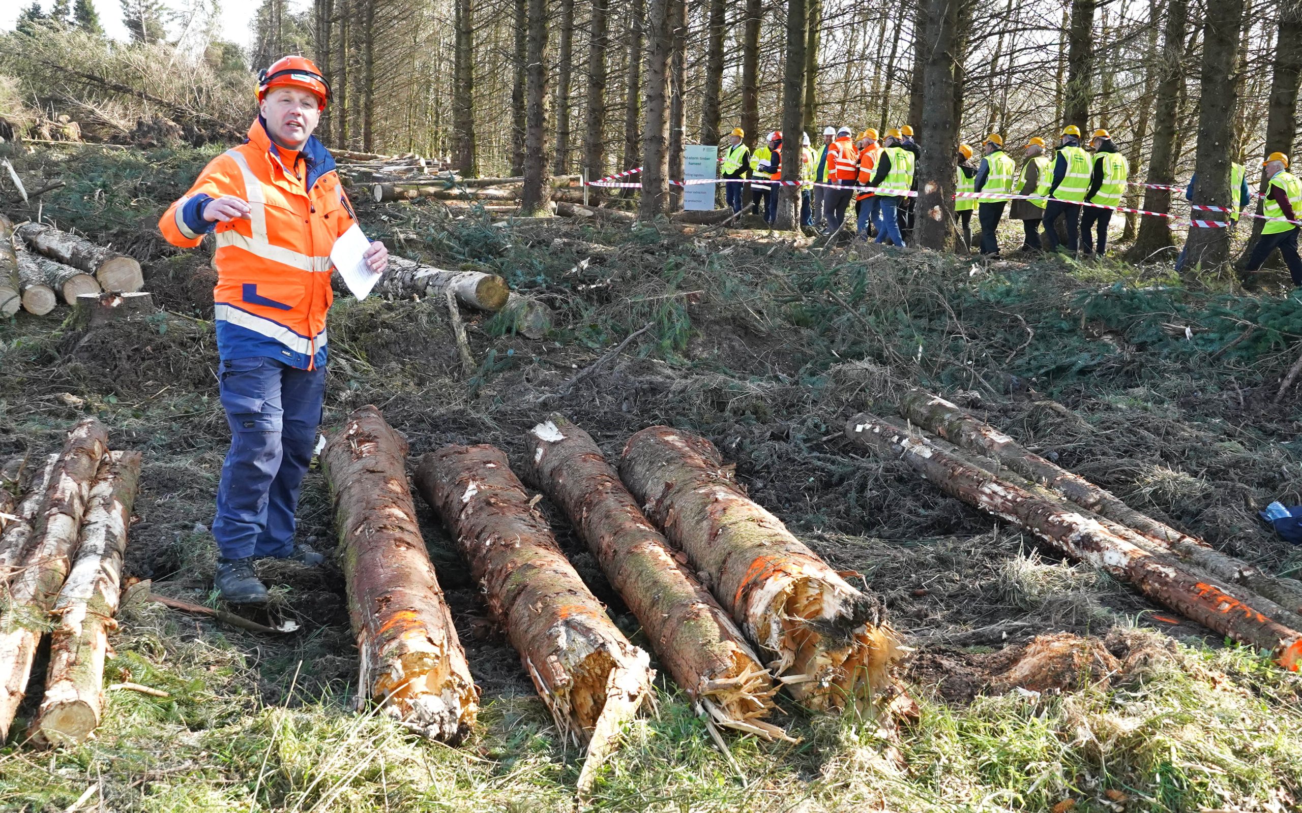 Teagasc has been keen to explain the value of timber to growers