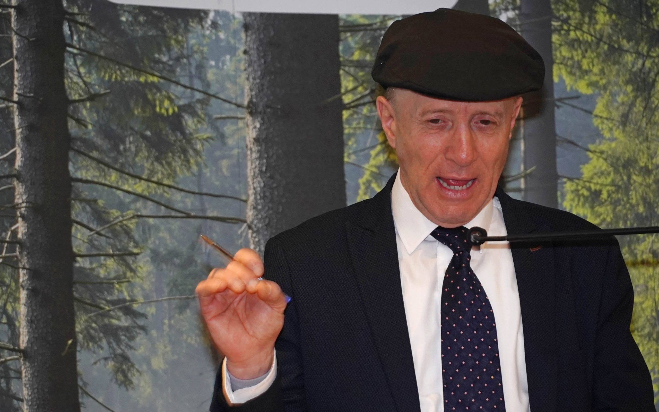Forest Industries Ireland are not as enthusiastic about planting blanket bogs as Minister Michael Healy-Rae