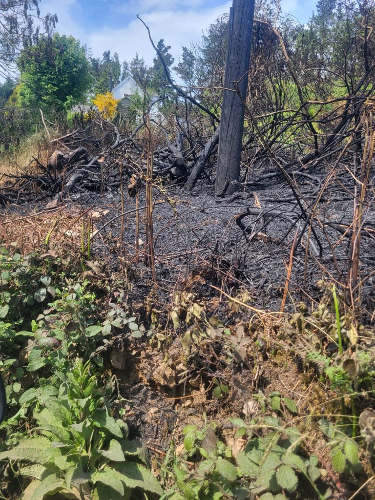 Tara Hill, Gorey. Image source: Padraig Doyle