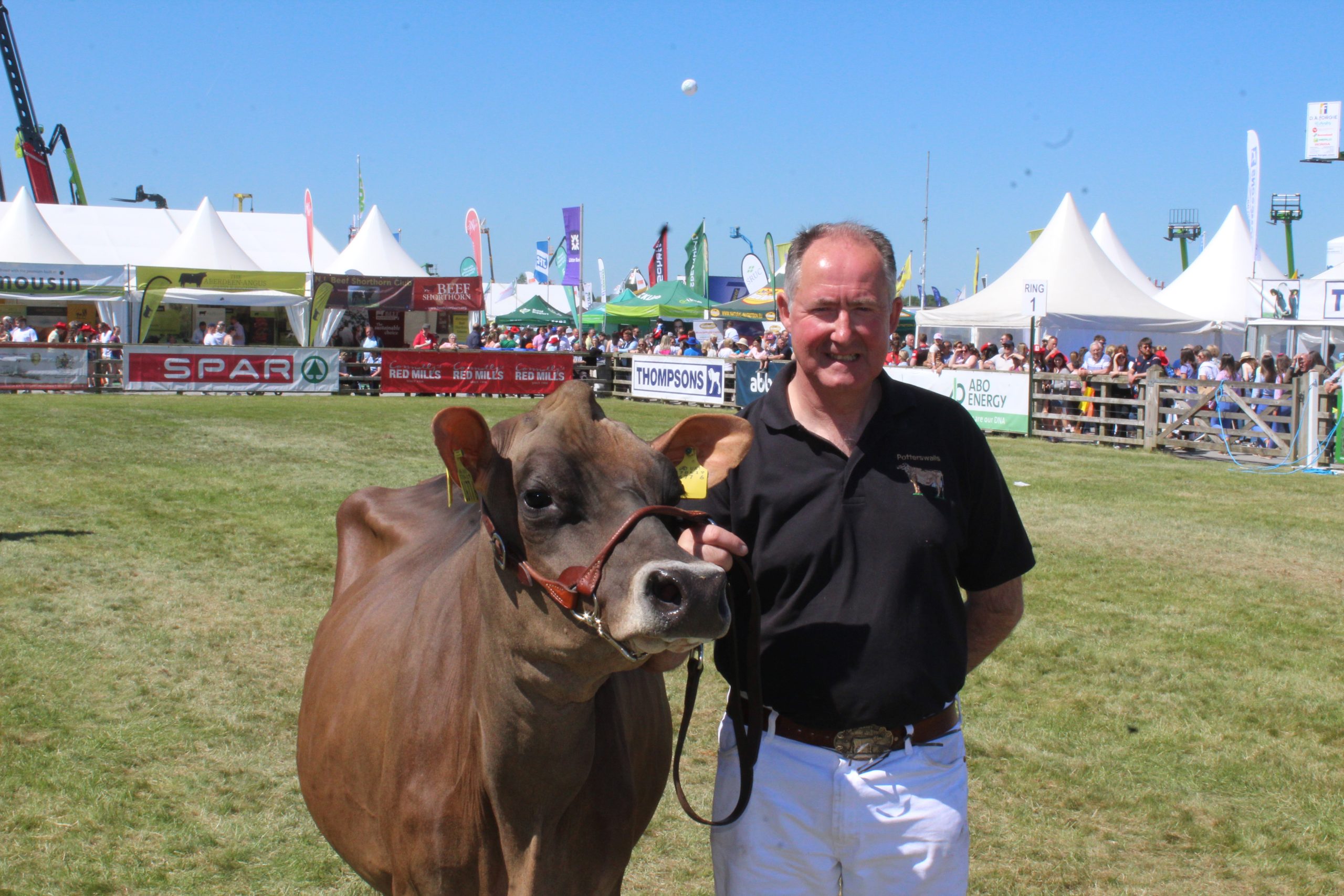 Ashley Fleming with the Jersey Reserve Champion at Balmoral Show 2025