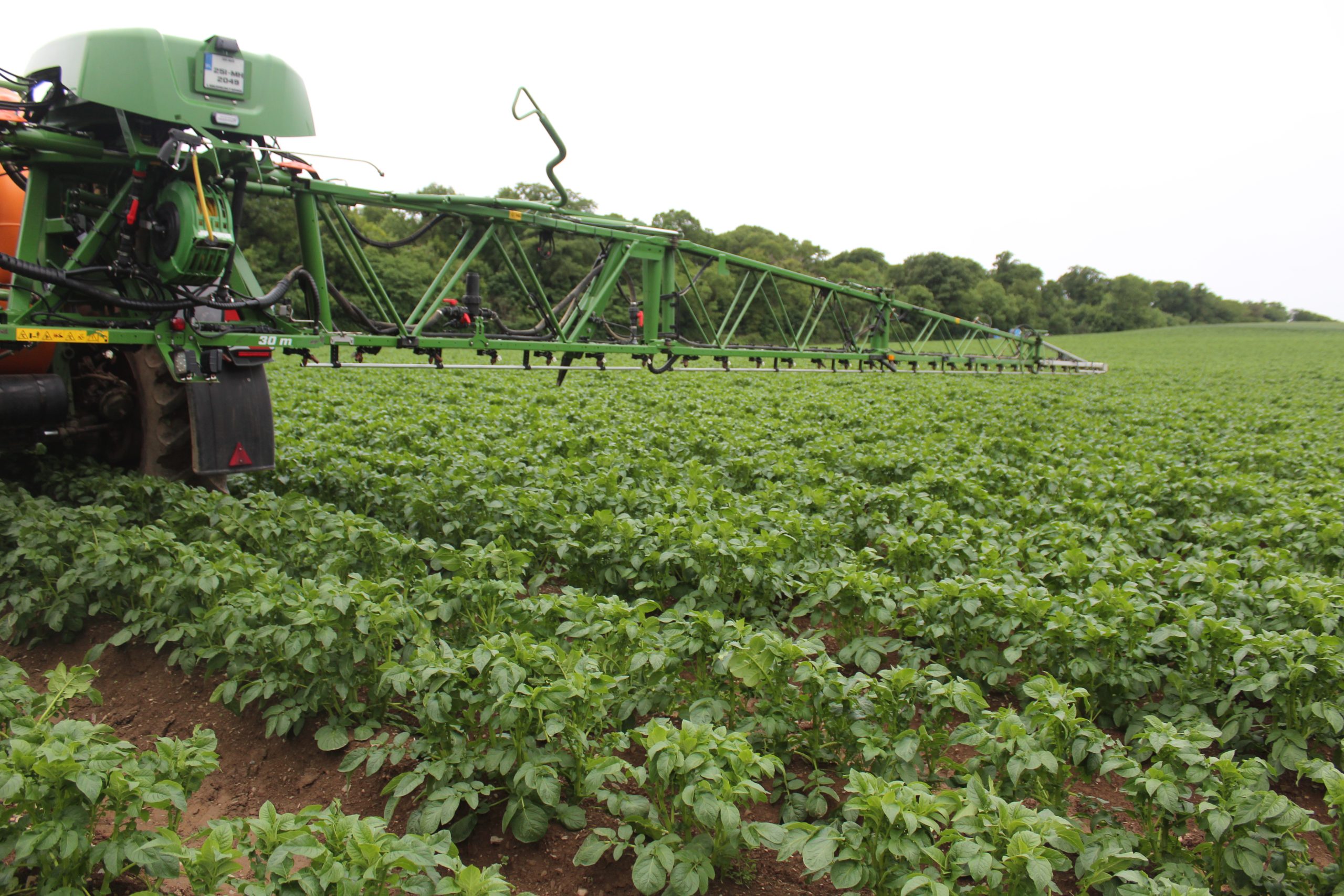 Spraying potato crops requires total attention to detail
