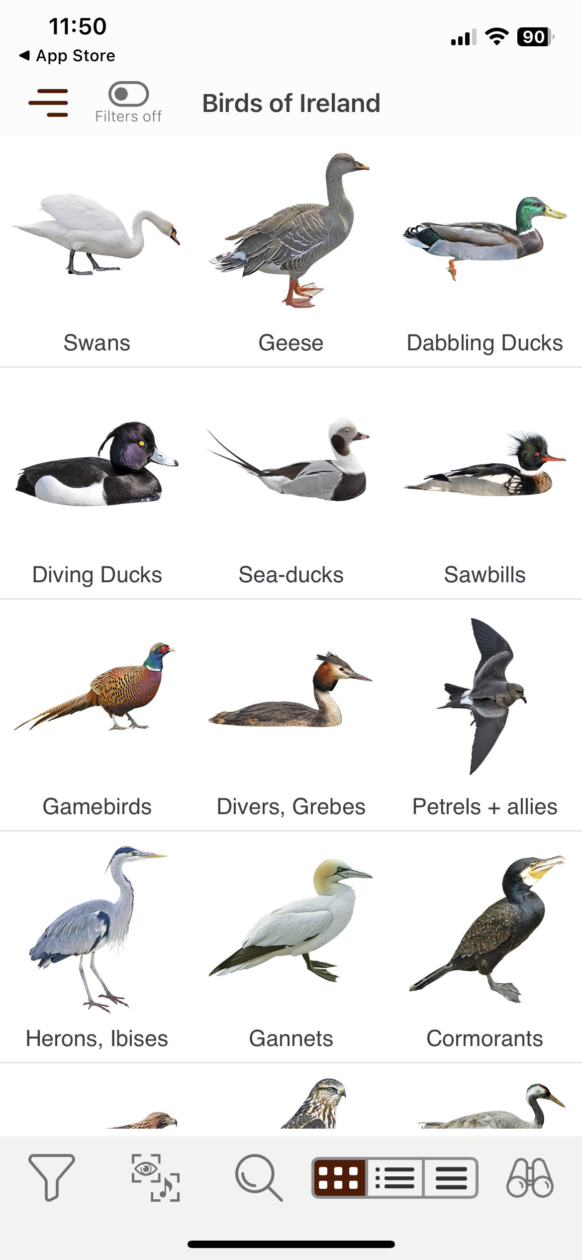 Source: Birds of Ireland Field Guide app