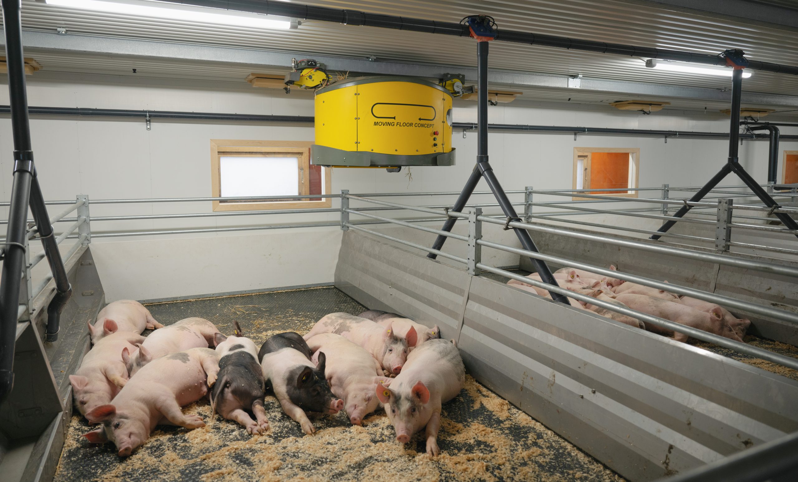 Overhead bedding robots run on a rail system distributing straw and sawdust when required