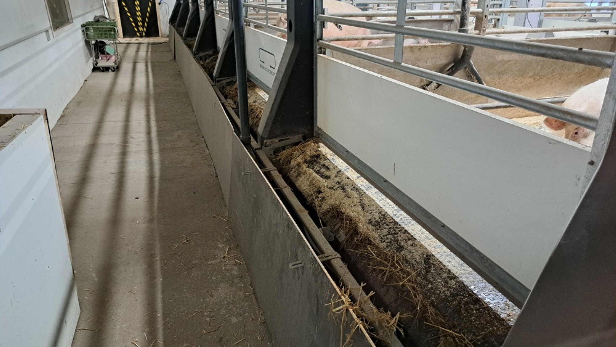 As the floor rotates, it scrapes away the faeces and urine, keeping the pens clean