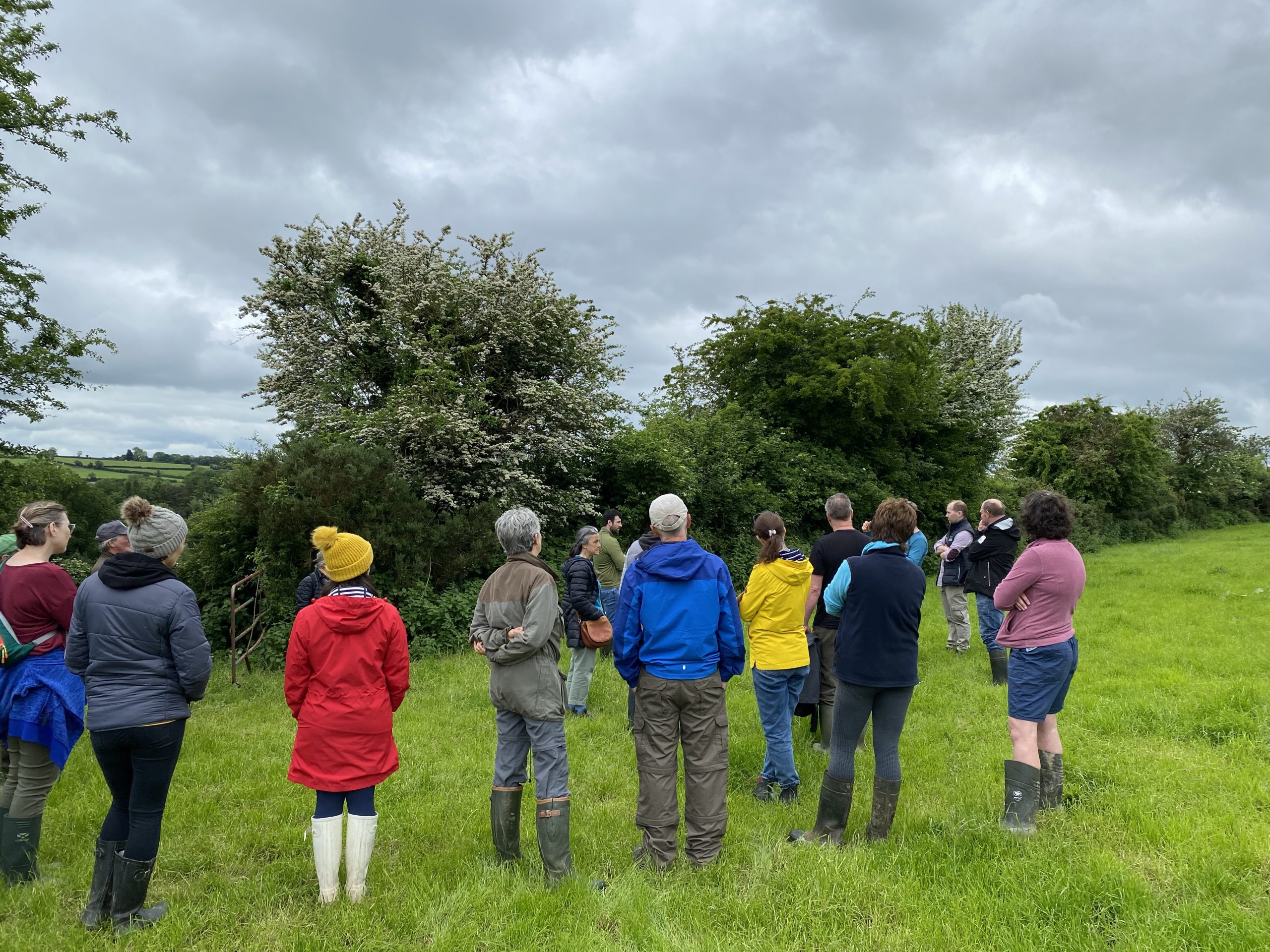 Festival of Farmland Biodiversity farm walk. Source: Ruth Wilson