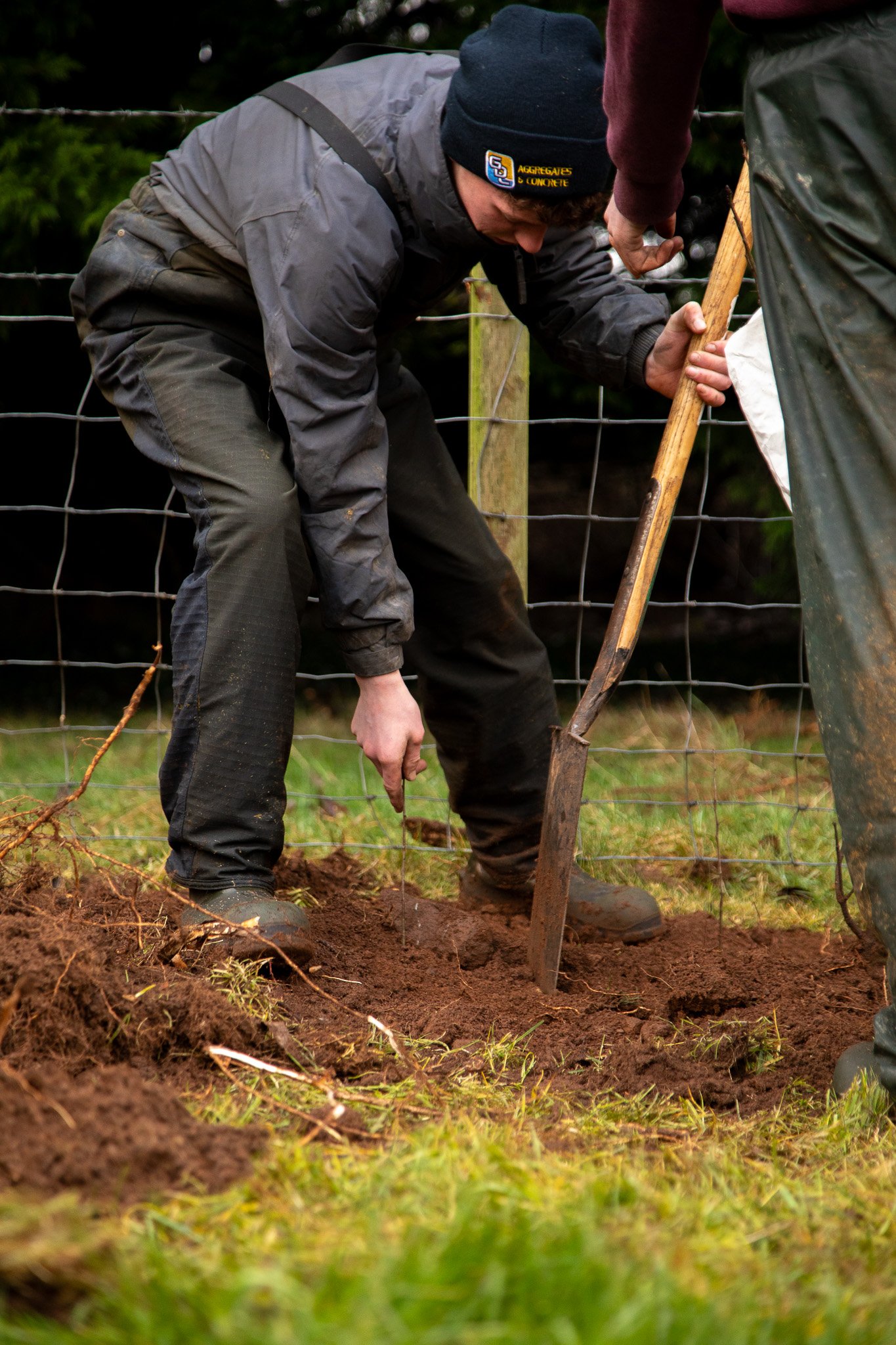 Student learning about planting new hedges at CAFRE