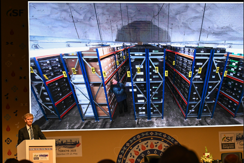 A look inside the World Seed Vault. Source: &nbsp;ISF/Marc Grimwade