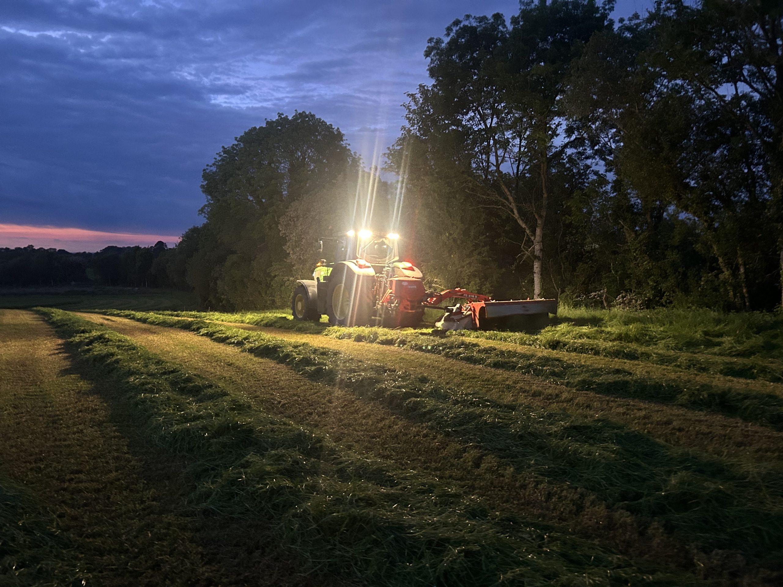Silage getting mowed late into the night